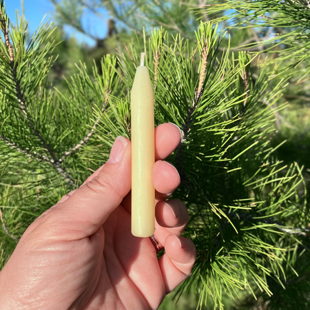 Mini Beeswax Taper Candles