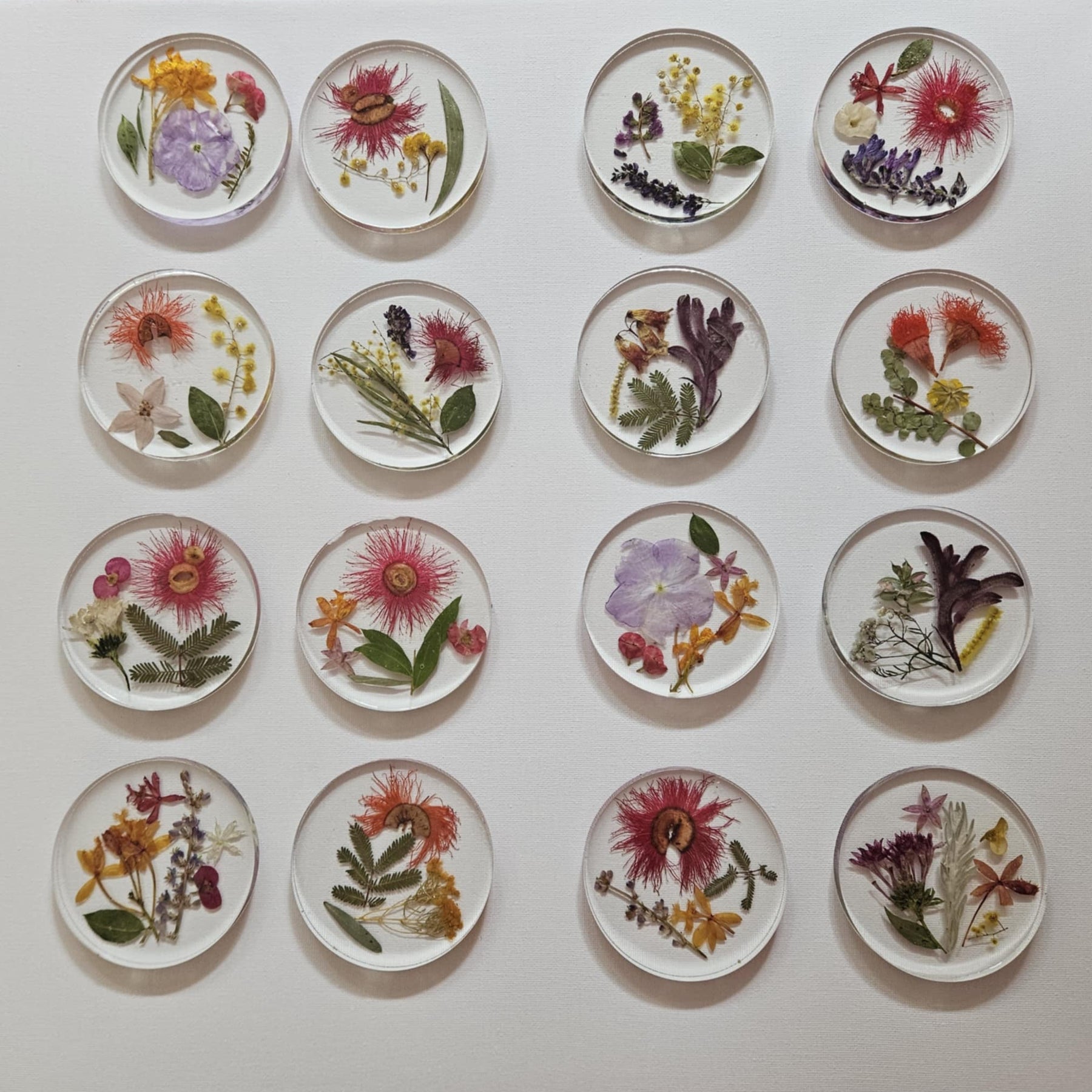 AUSTRALIAN NATIVE FLOWER  Coasters - Set of 4