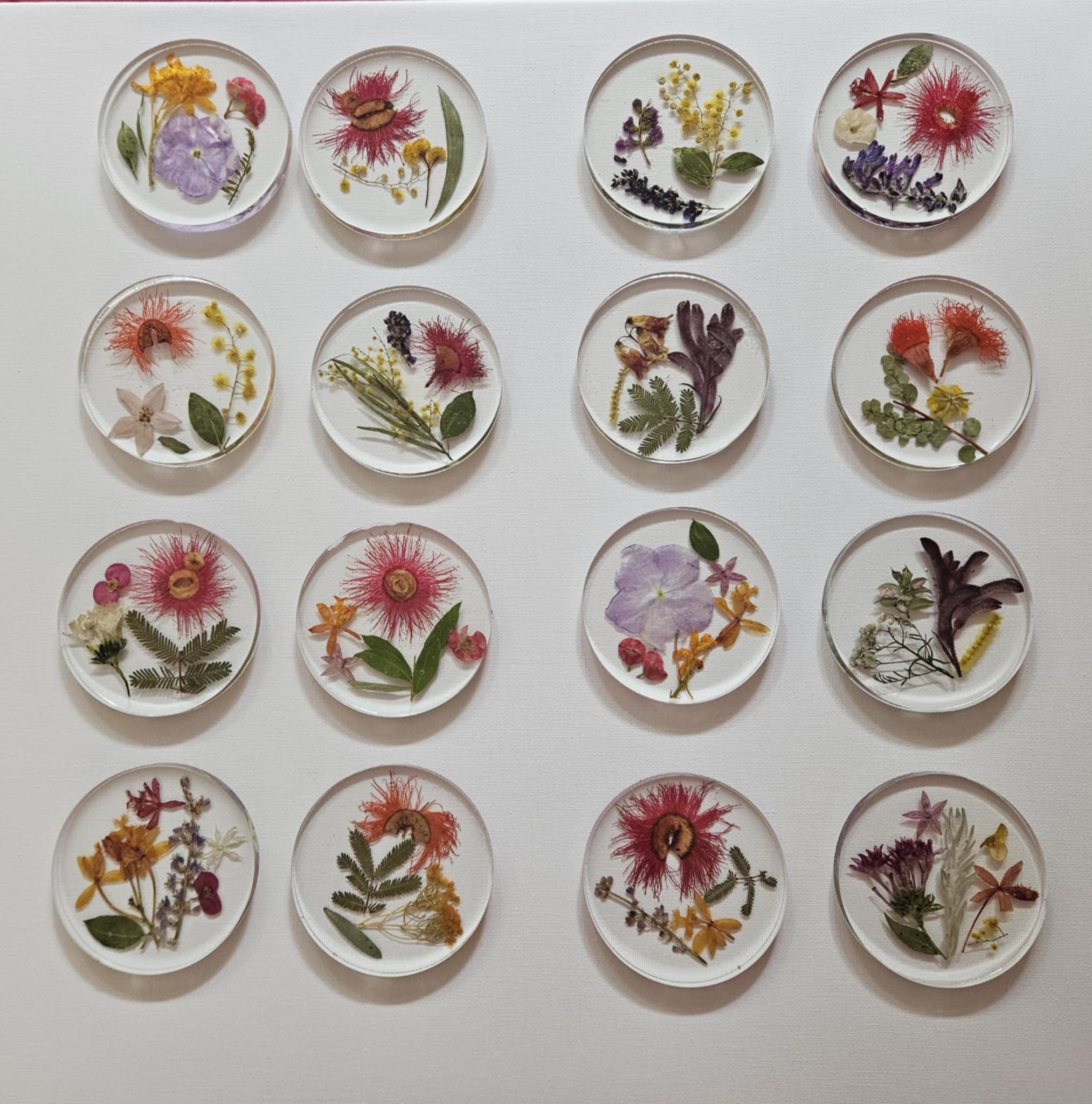 AUSTRALIAN NATIVE FLOWER  Coasters - Set of 4