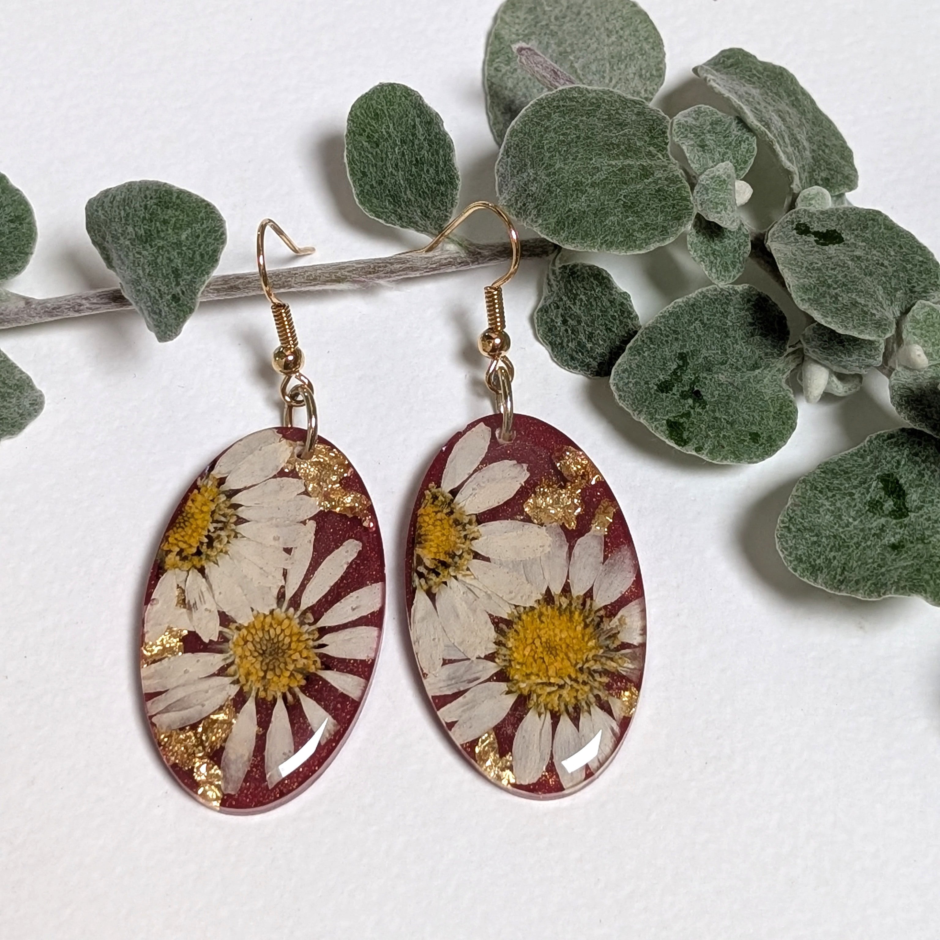 Real daisy earrings with merlot background