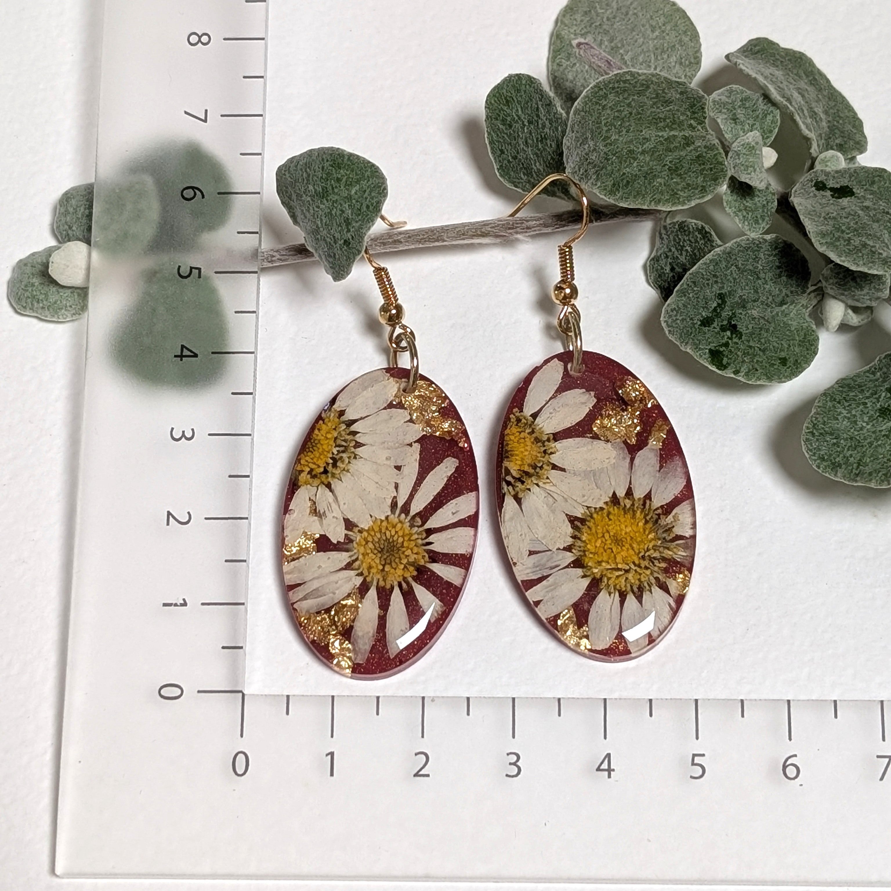 Real daisy earrings with merlot background