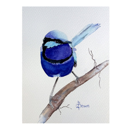 Mini Me #209 Splendid Fairy Wren Original Watercolour Painting