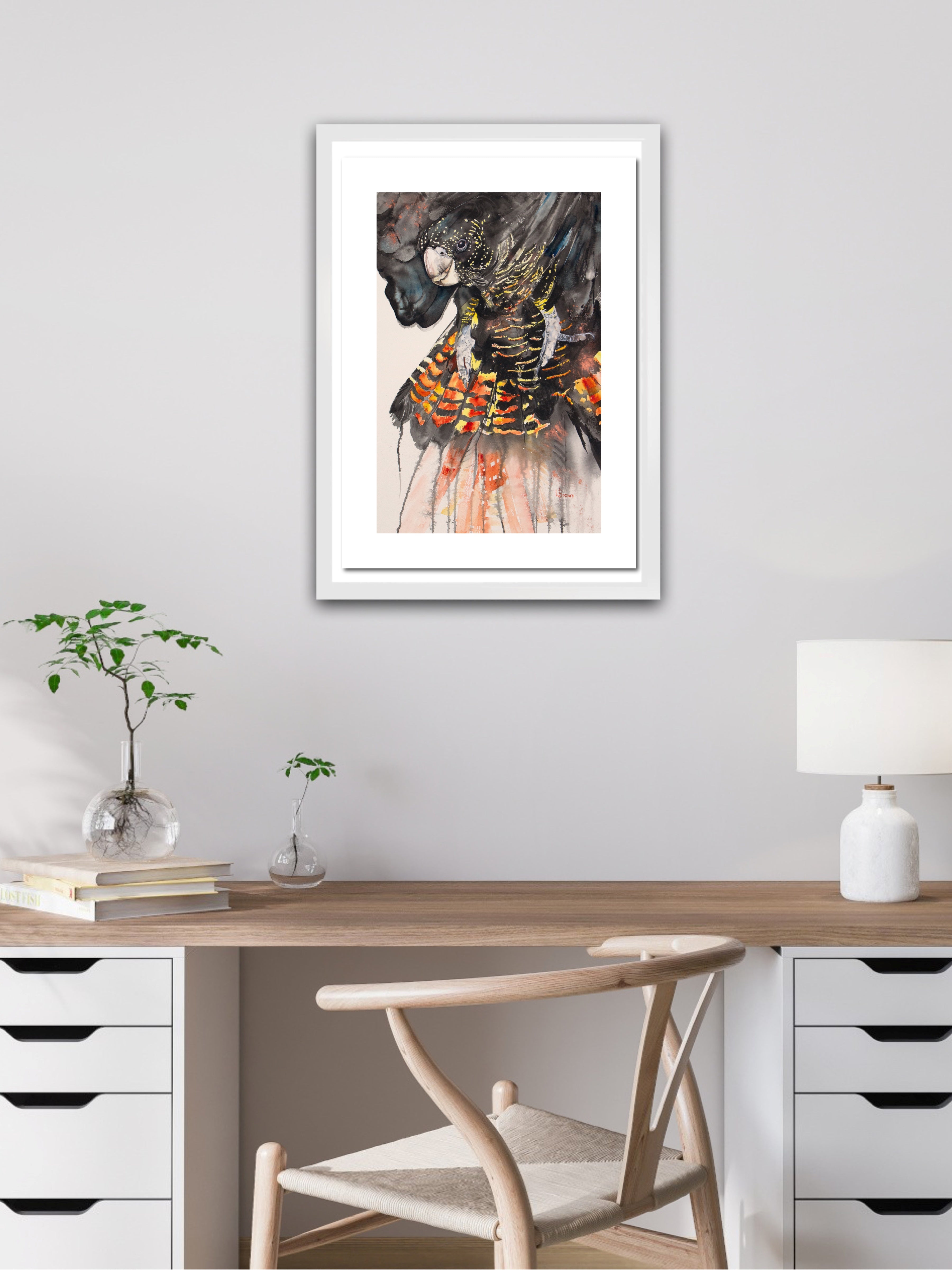 Black Cockatoo A3 Fine Art Print