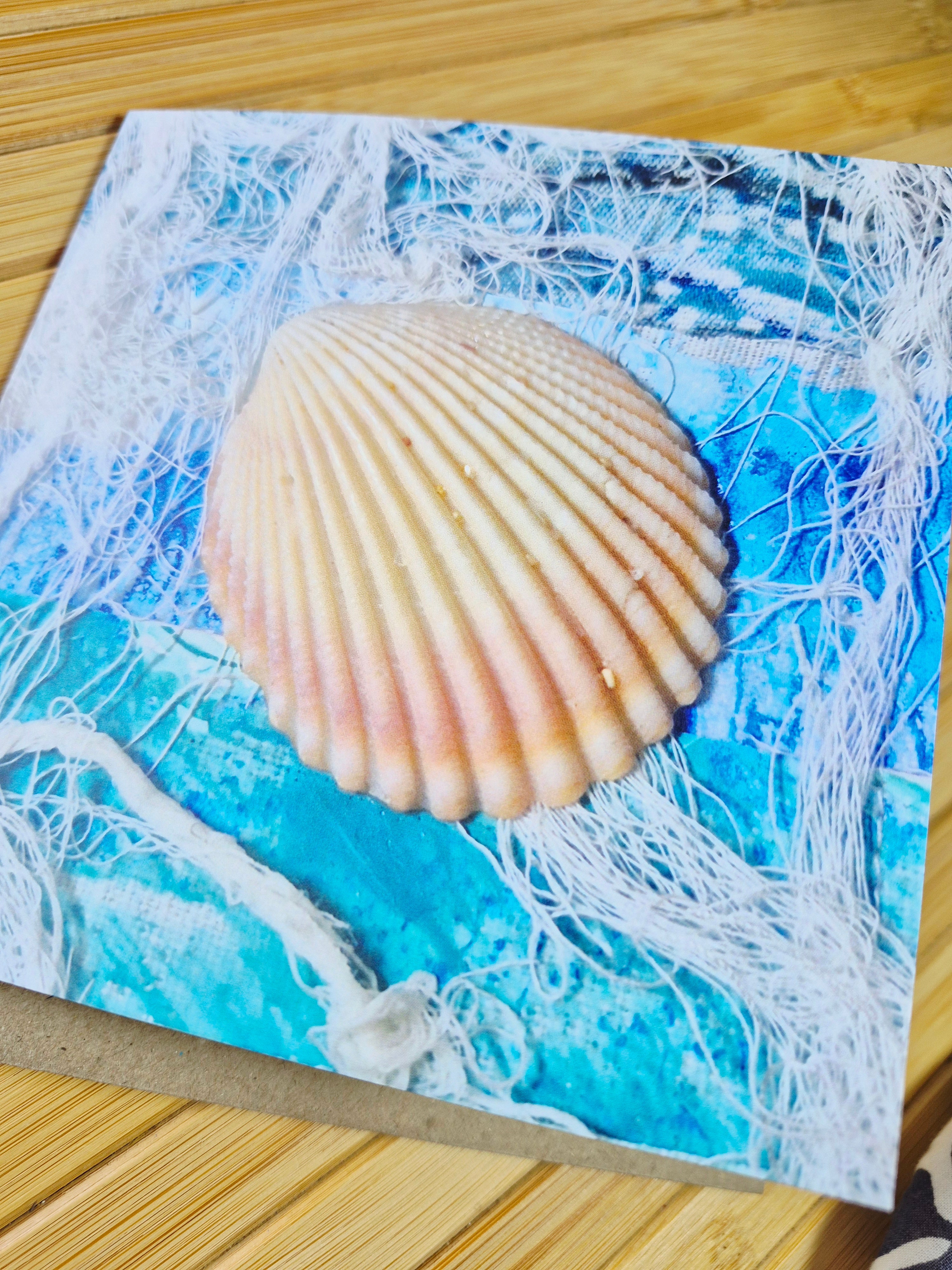 Blank Card Sea Shells