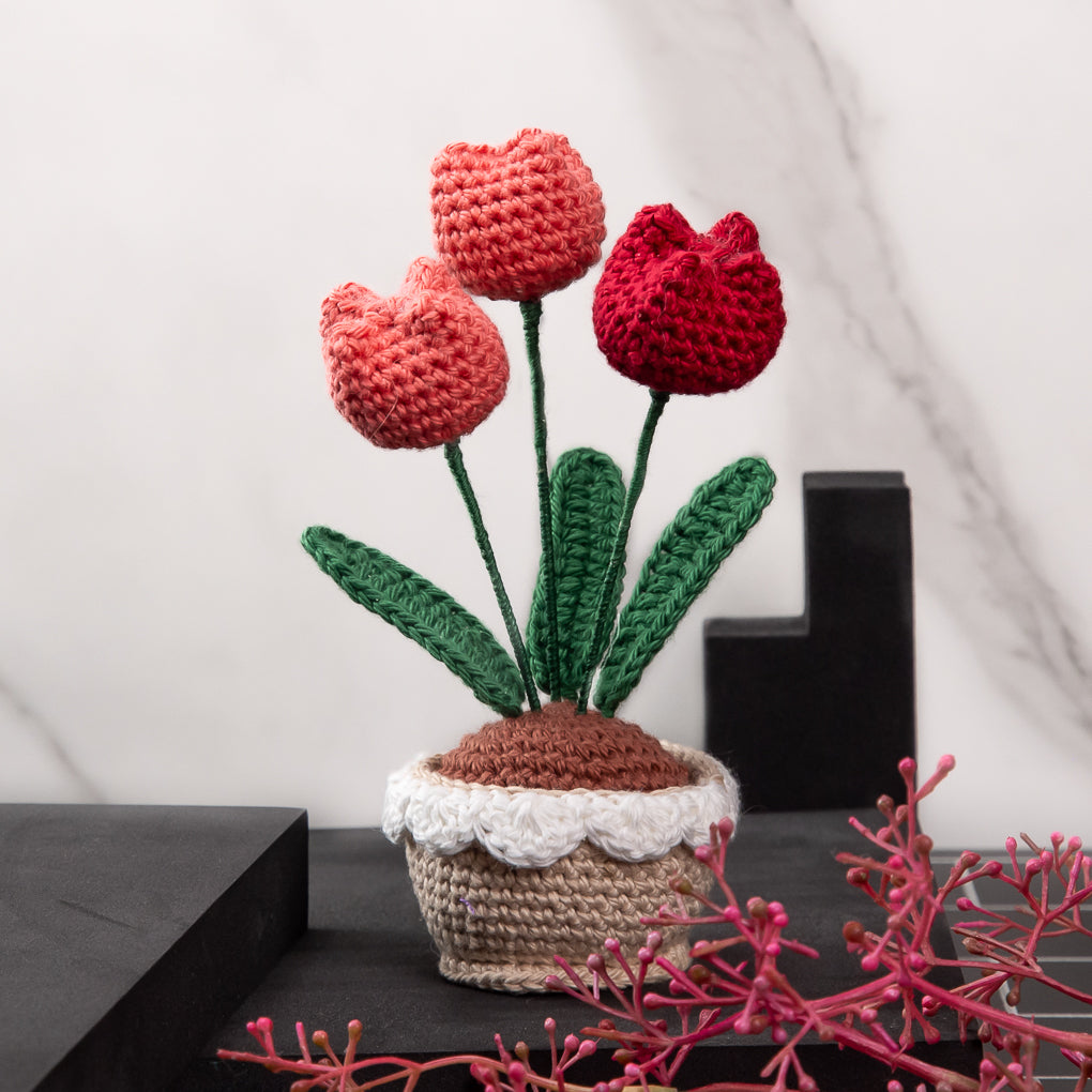 Mini Crocheted Flower Pots