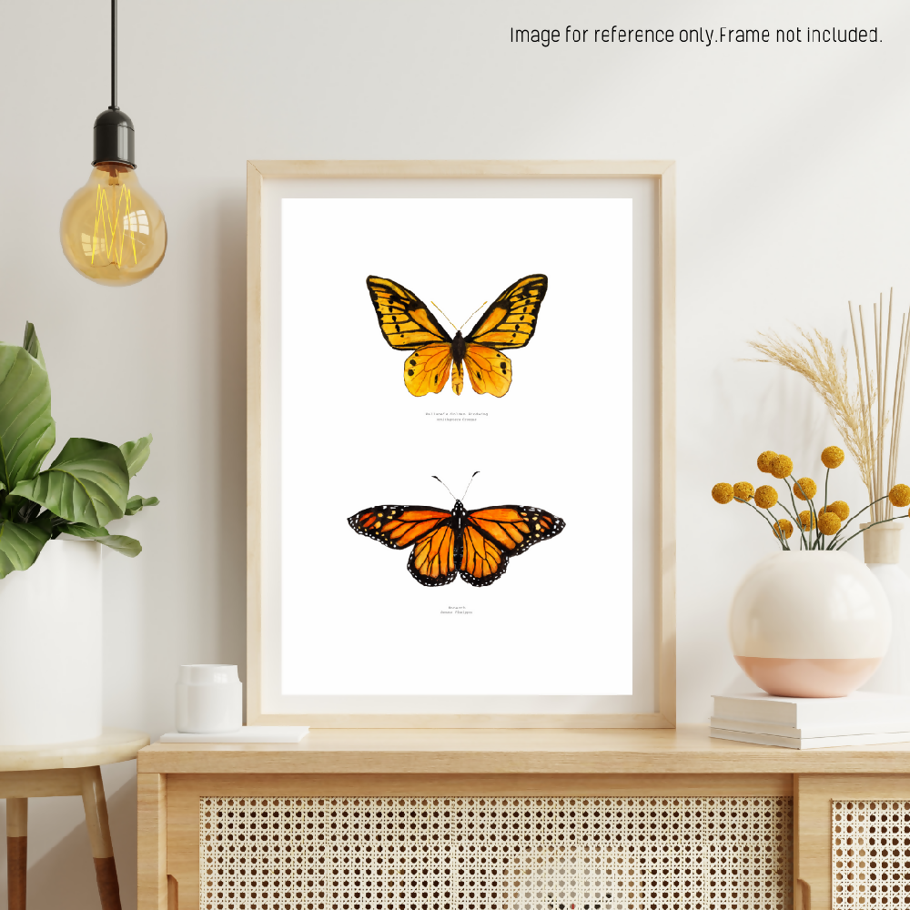 the fauna series - warm hues butterfly duo