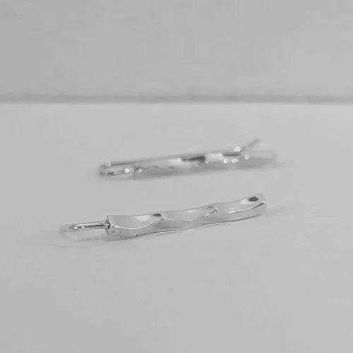 seed pod earrings