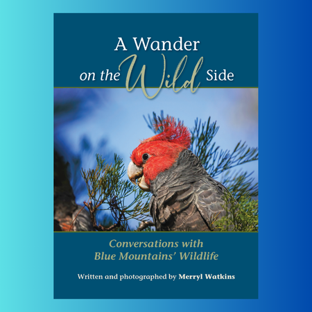 A Wander on the Wild Side - Conversations with Blue Mountains Wildlife