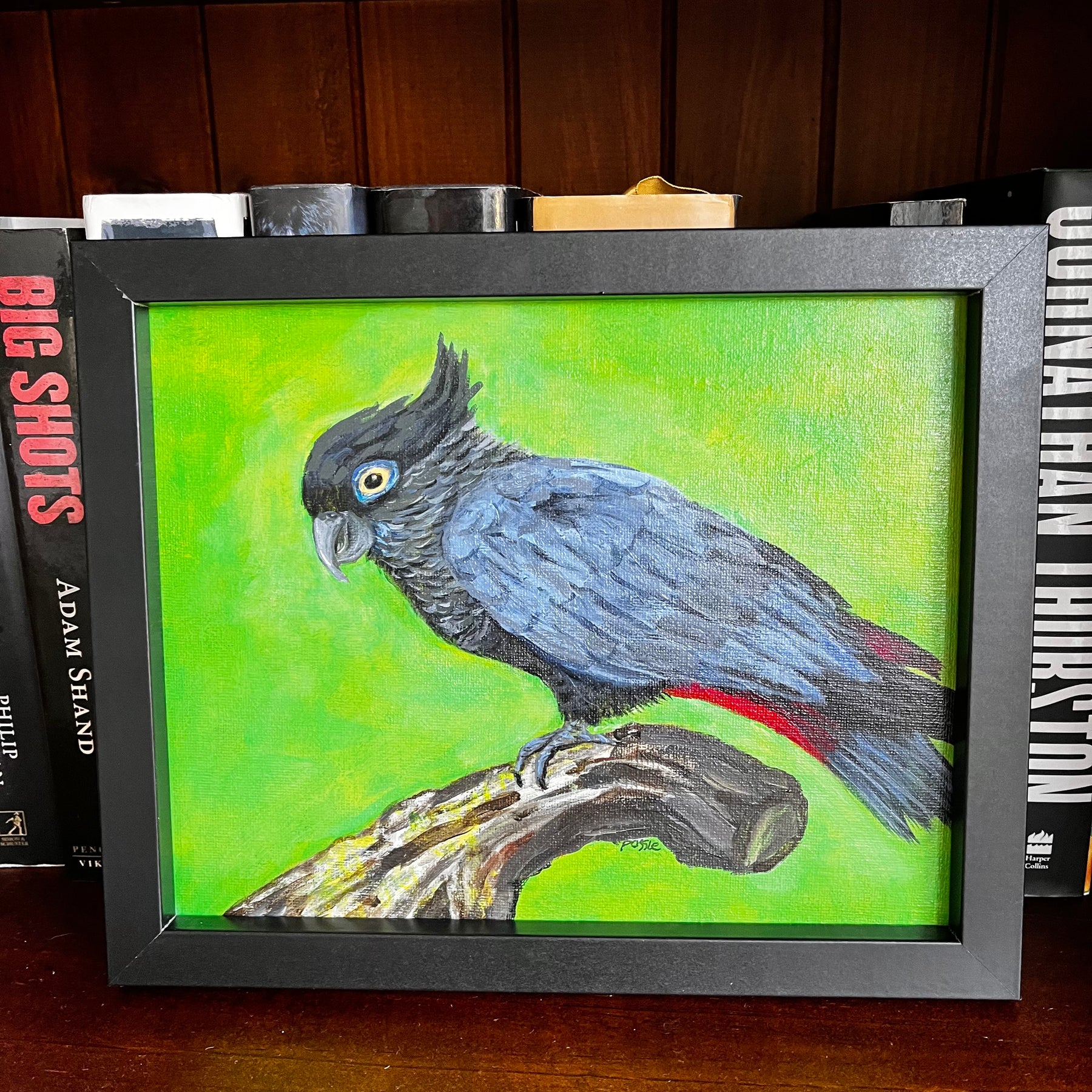 Black Cockatoo