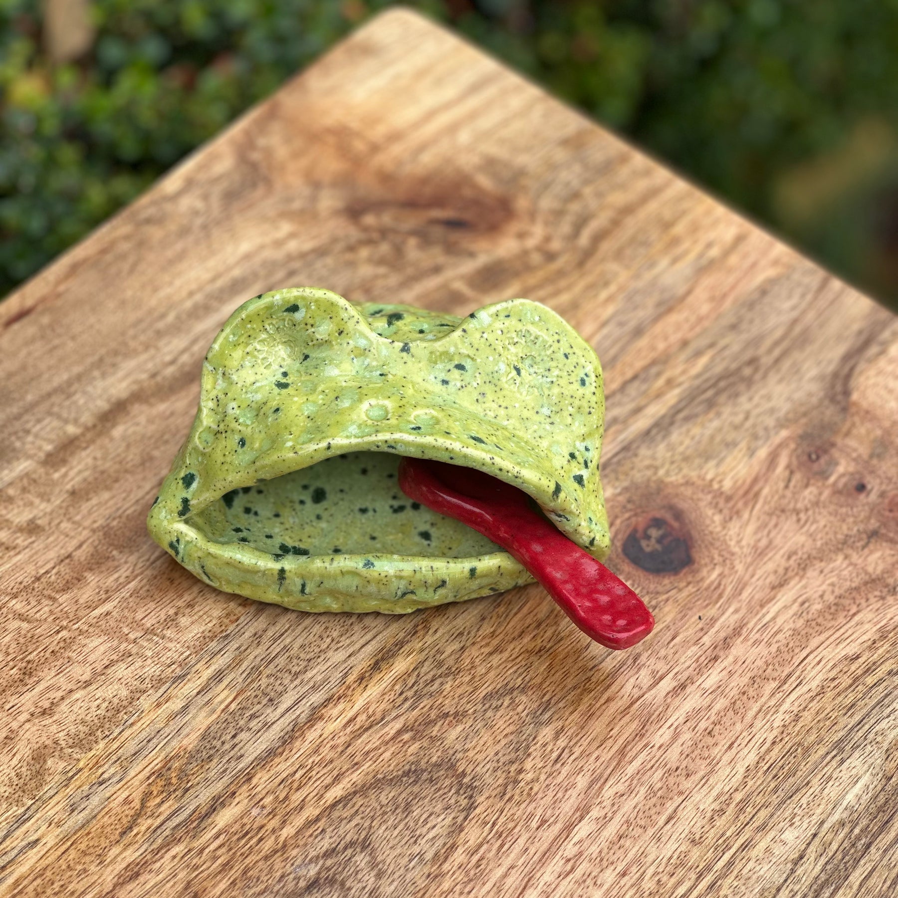 Salt Frog with Ceramic Spoon
