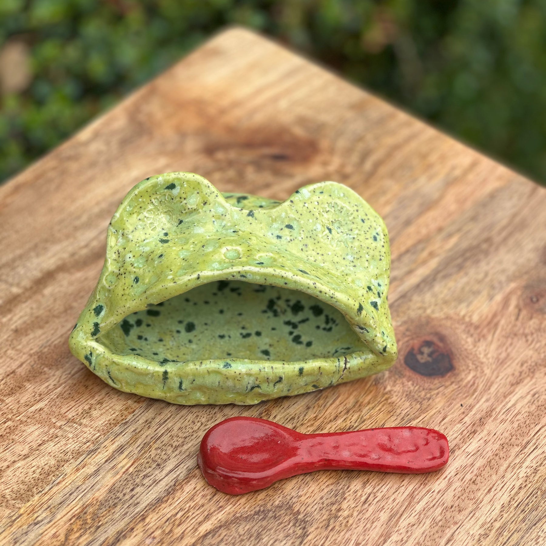 Salt Frog with Ceramic Spoon