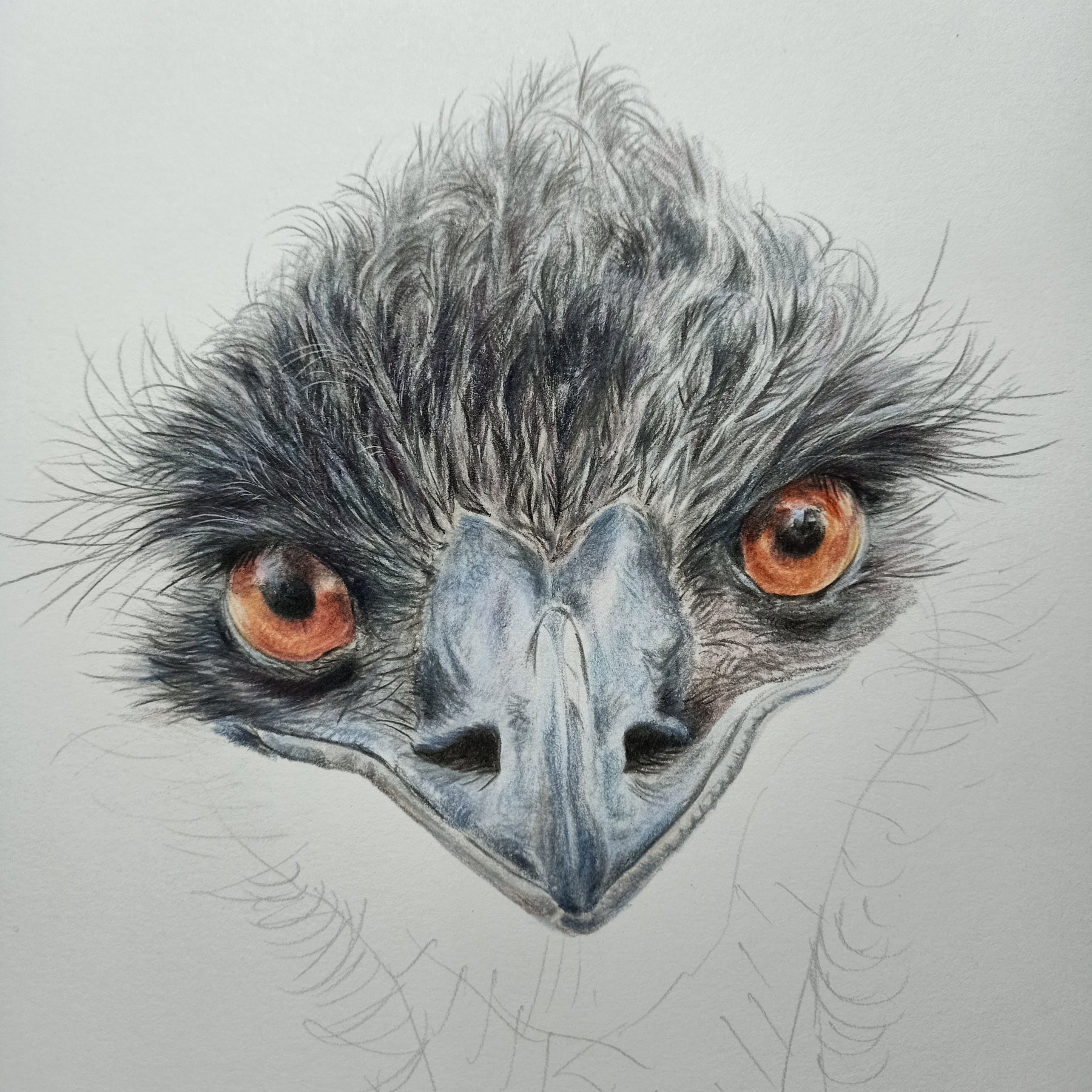 Emu | Cotton Tote Bag