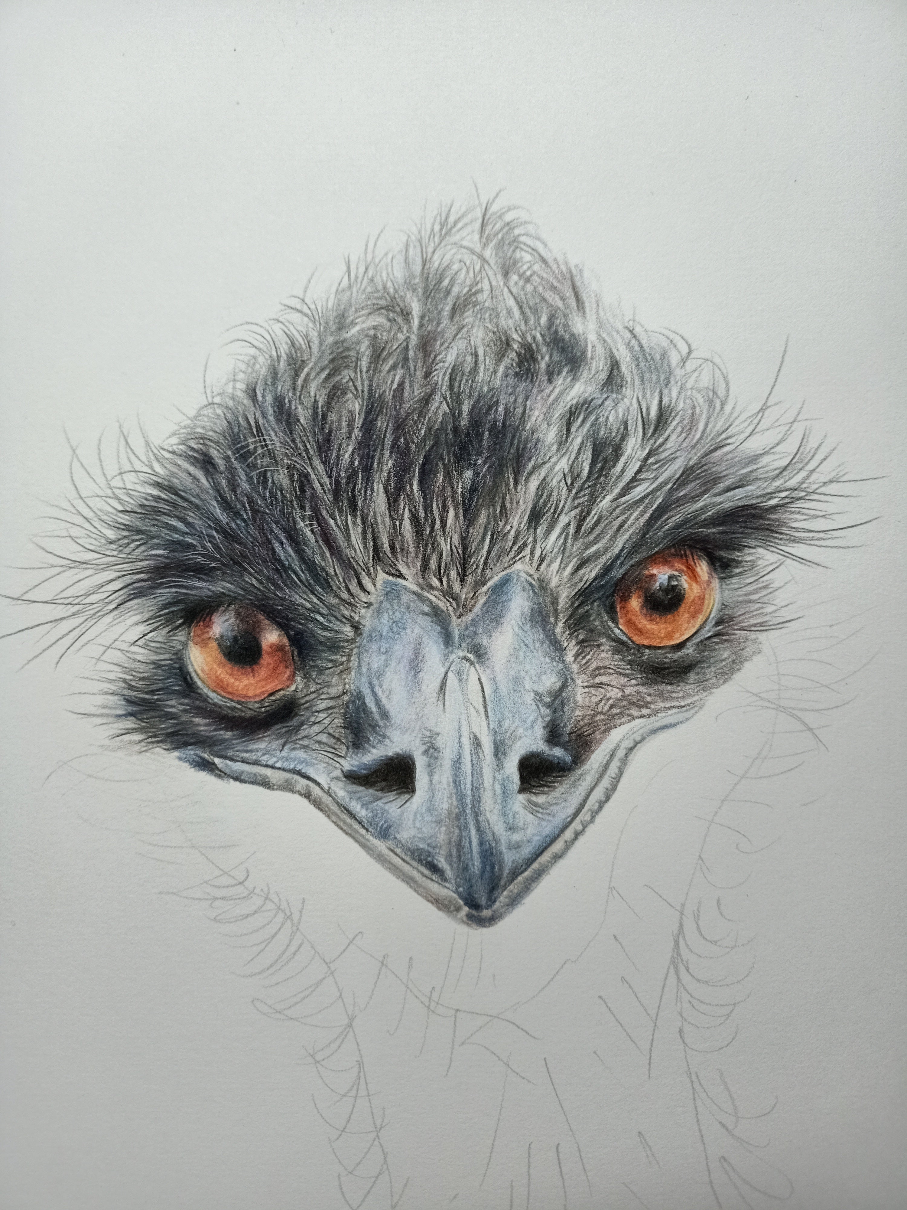 Emu | Cotton Tote Bag