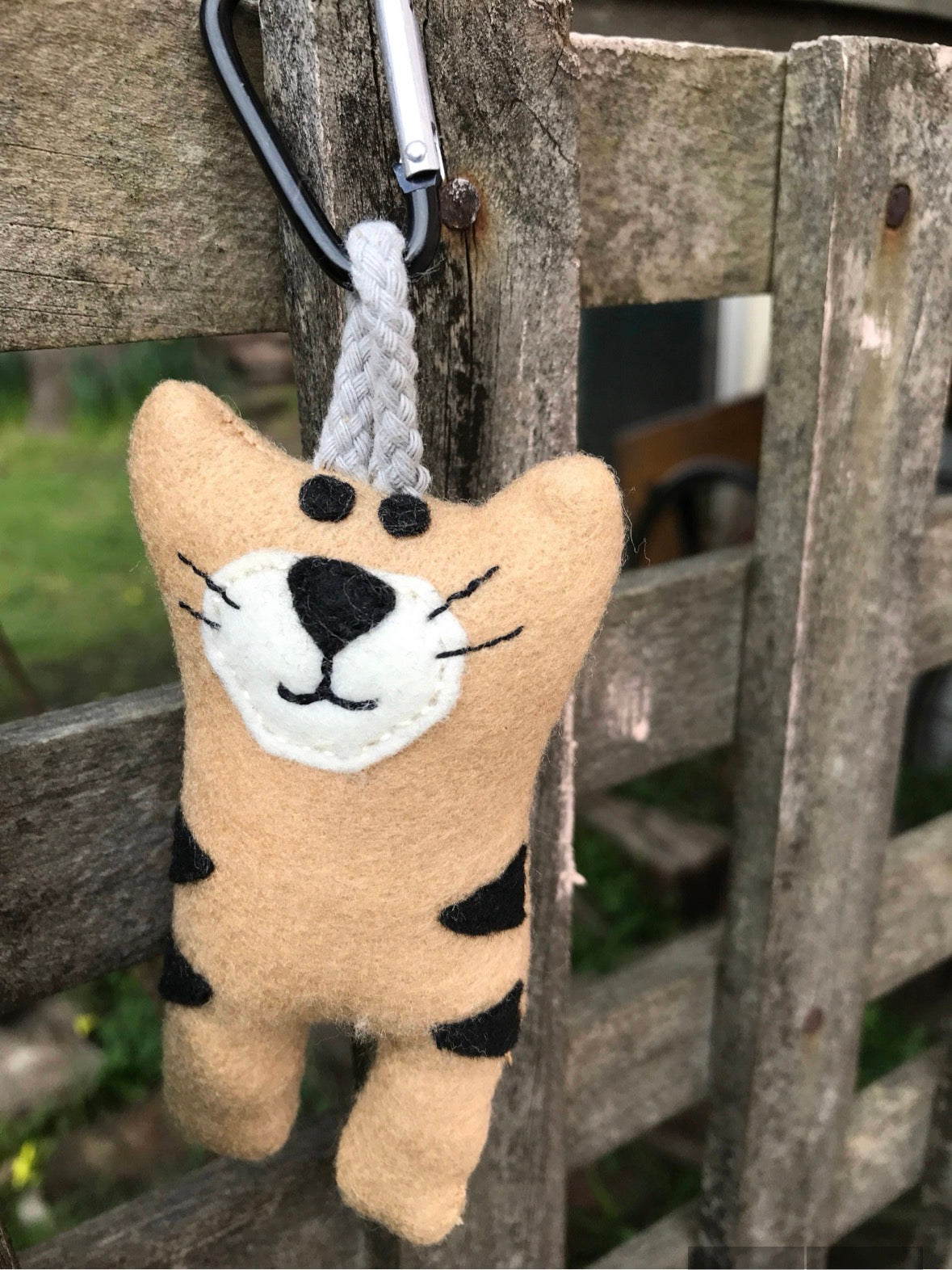 Tasmanian Tiger travel Buddy