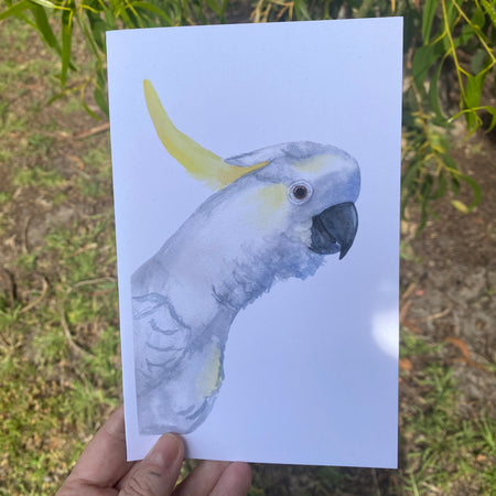 Cockatoo Blank Greeting Card