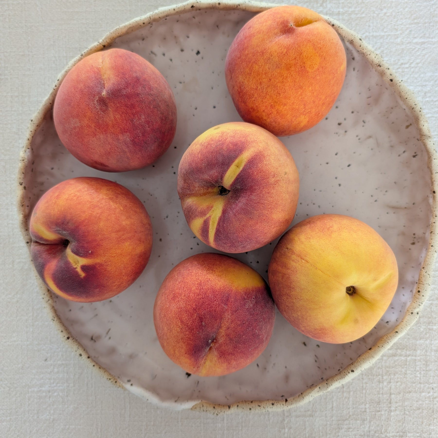 Ceramic Bowl |  Lux • Functional • Everyday