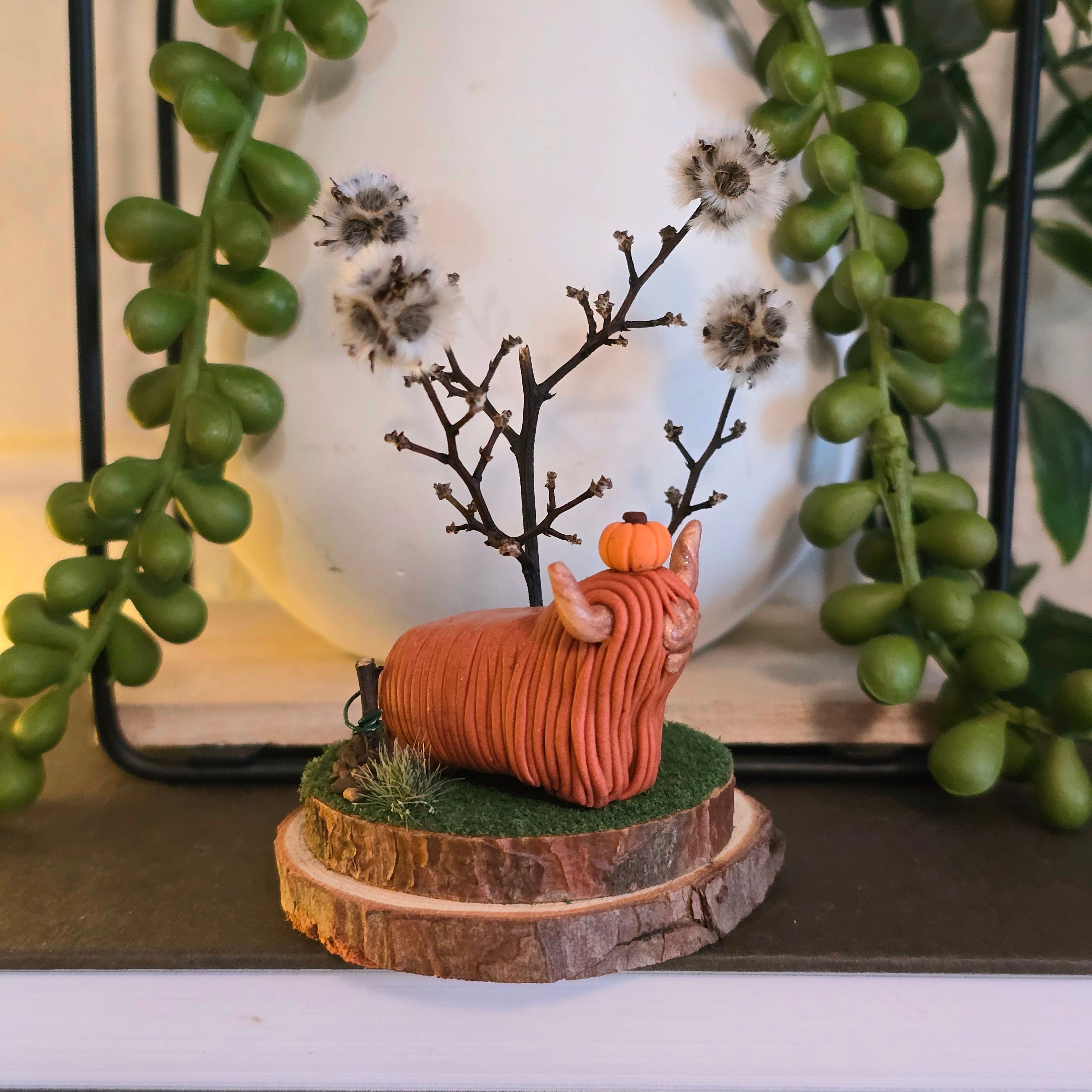 Highland Cow - Charlotte
