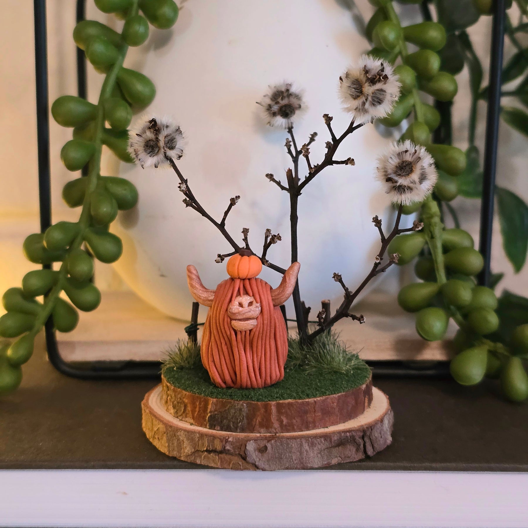 Highland Cow - Charlotte