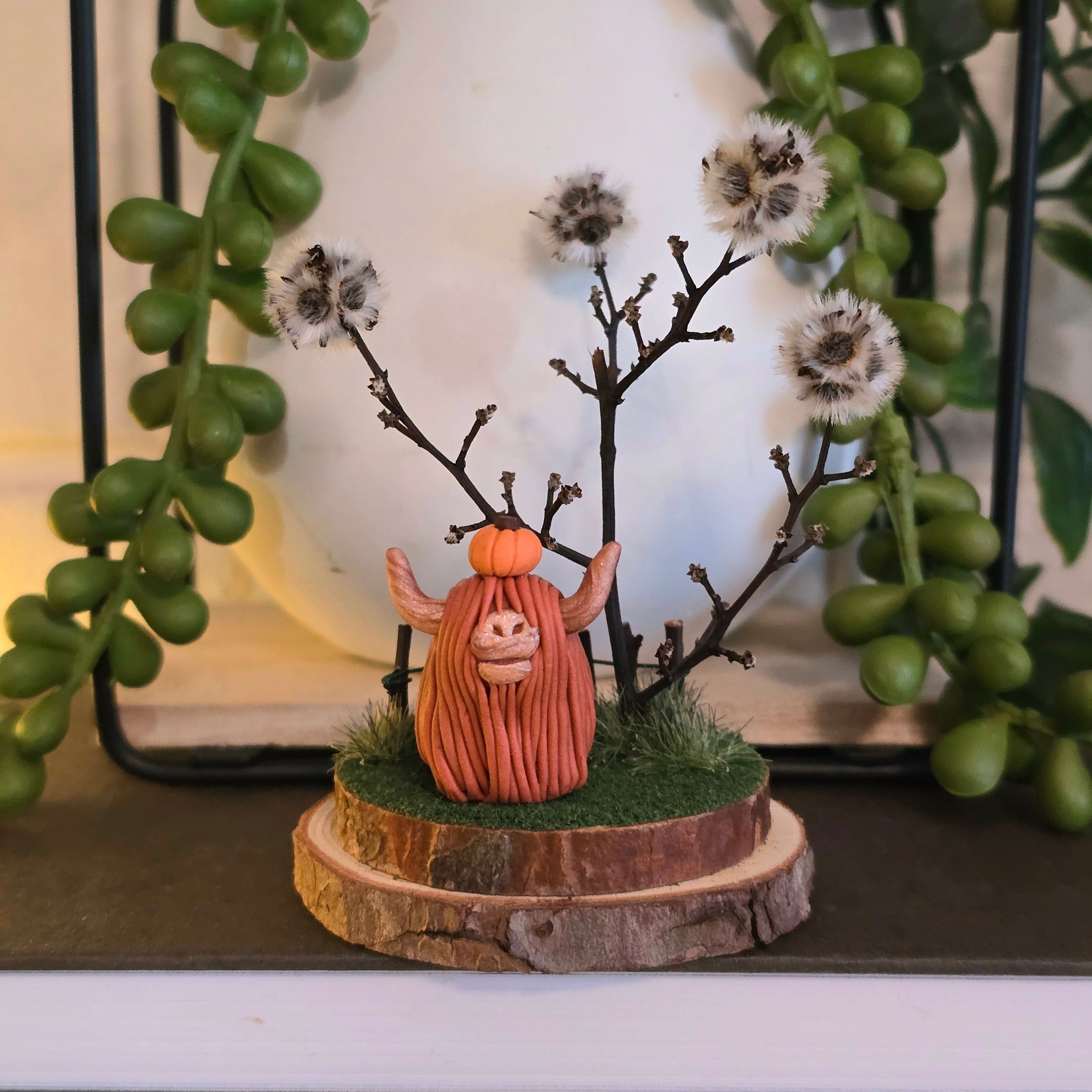 Highland Cow - Charlotte
