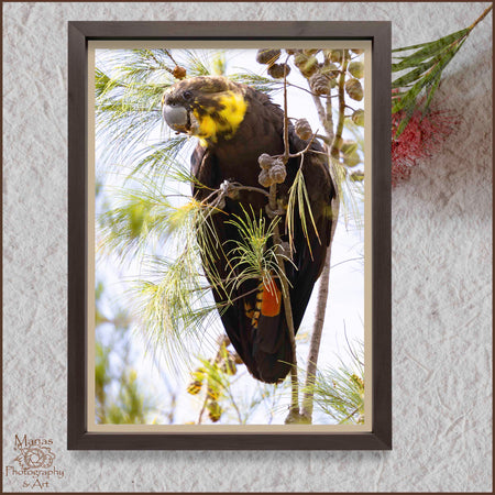 Photographic print | Wall Art | Pretty girl