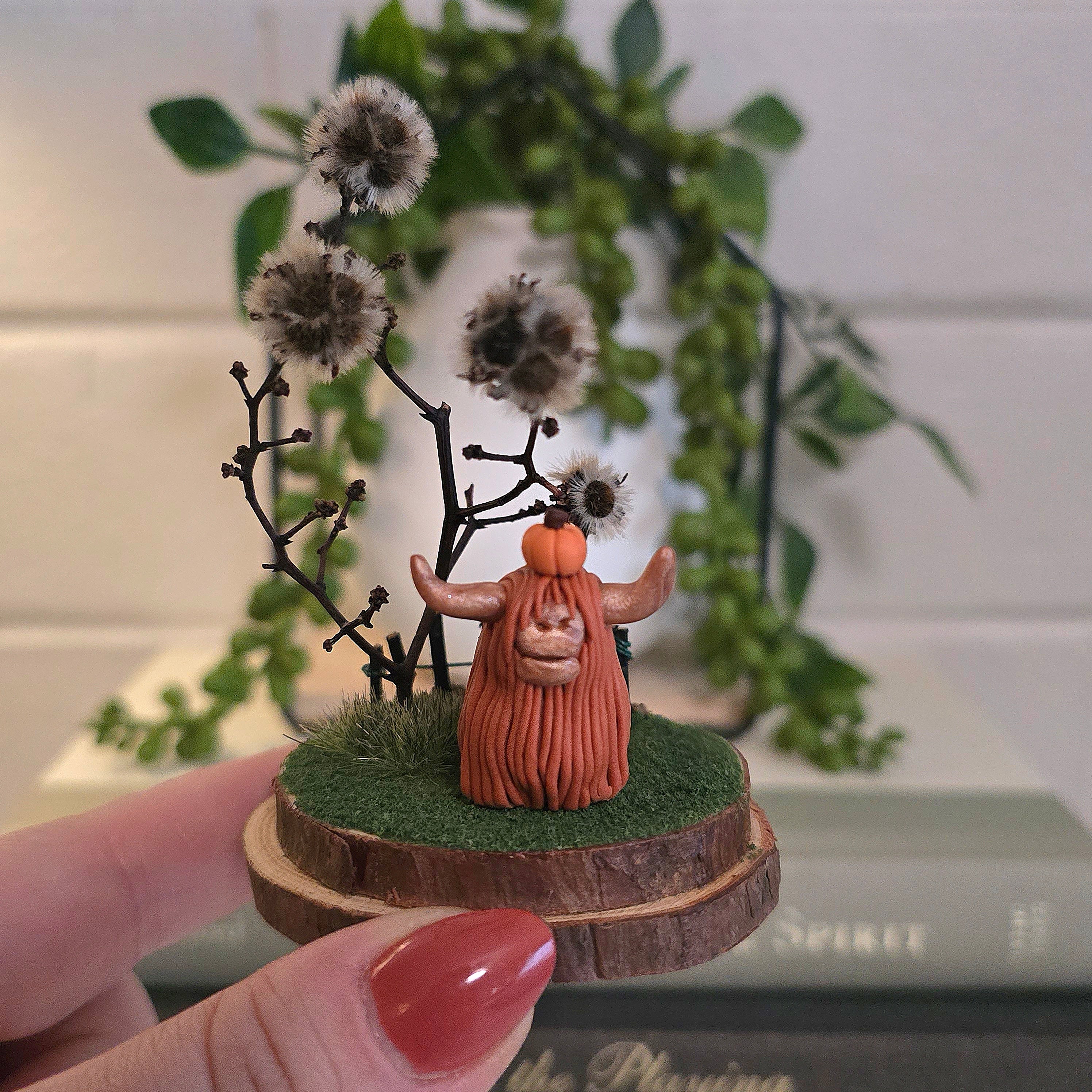 Highland Cow - Rosie