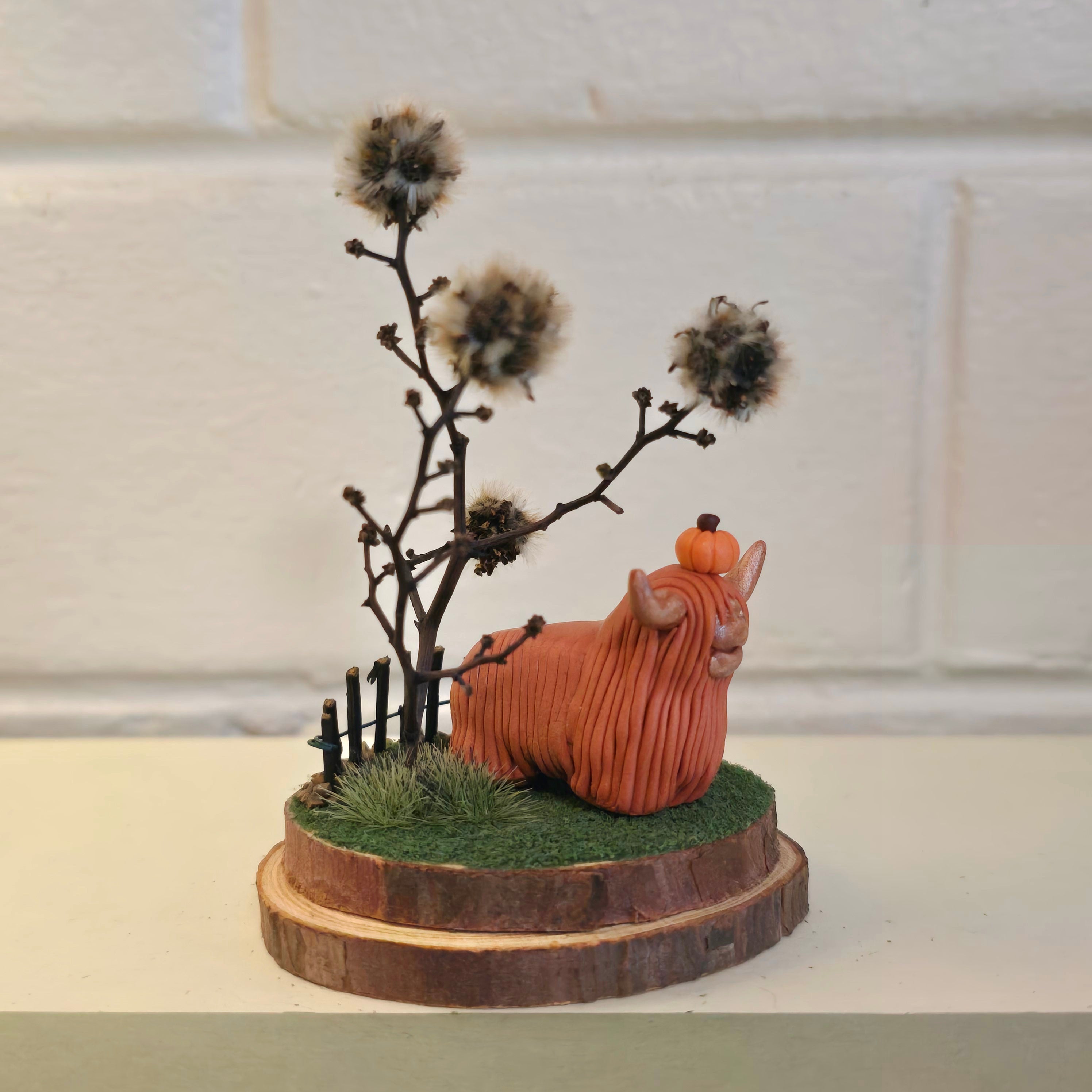 Highland Cow - Rosie