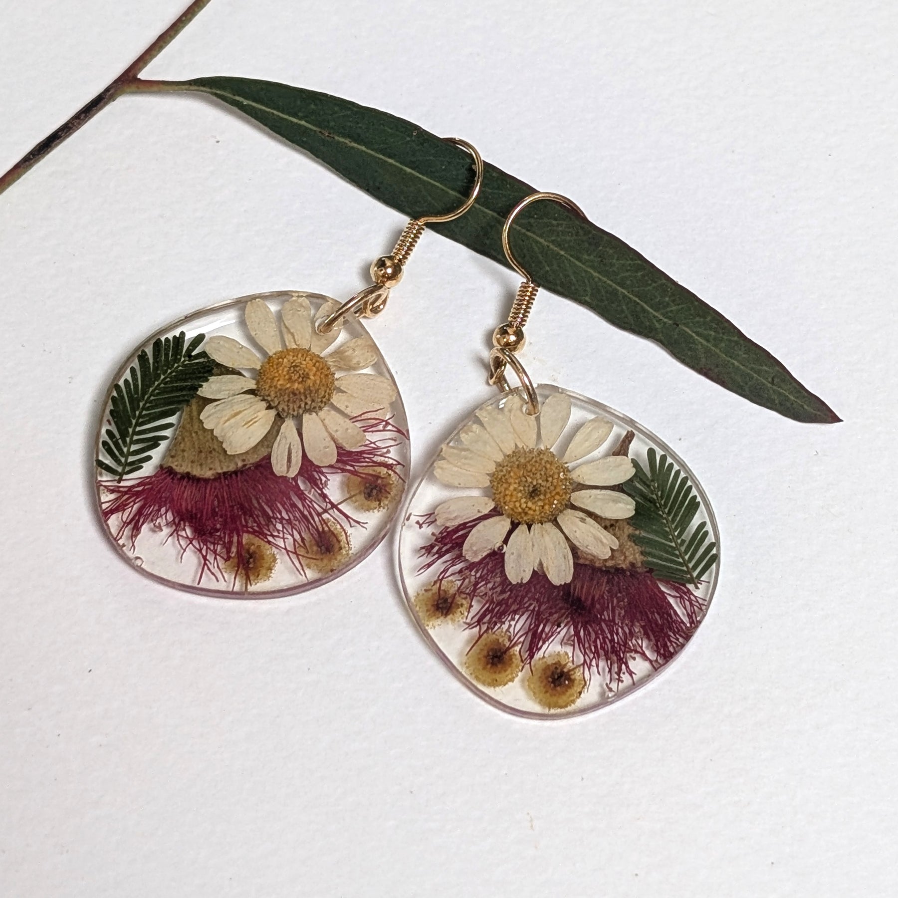 Red flowering gum, Aussie native earrings