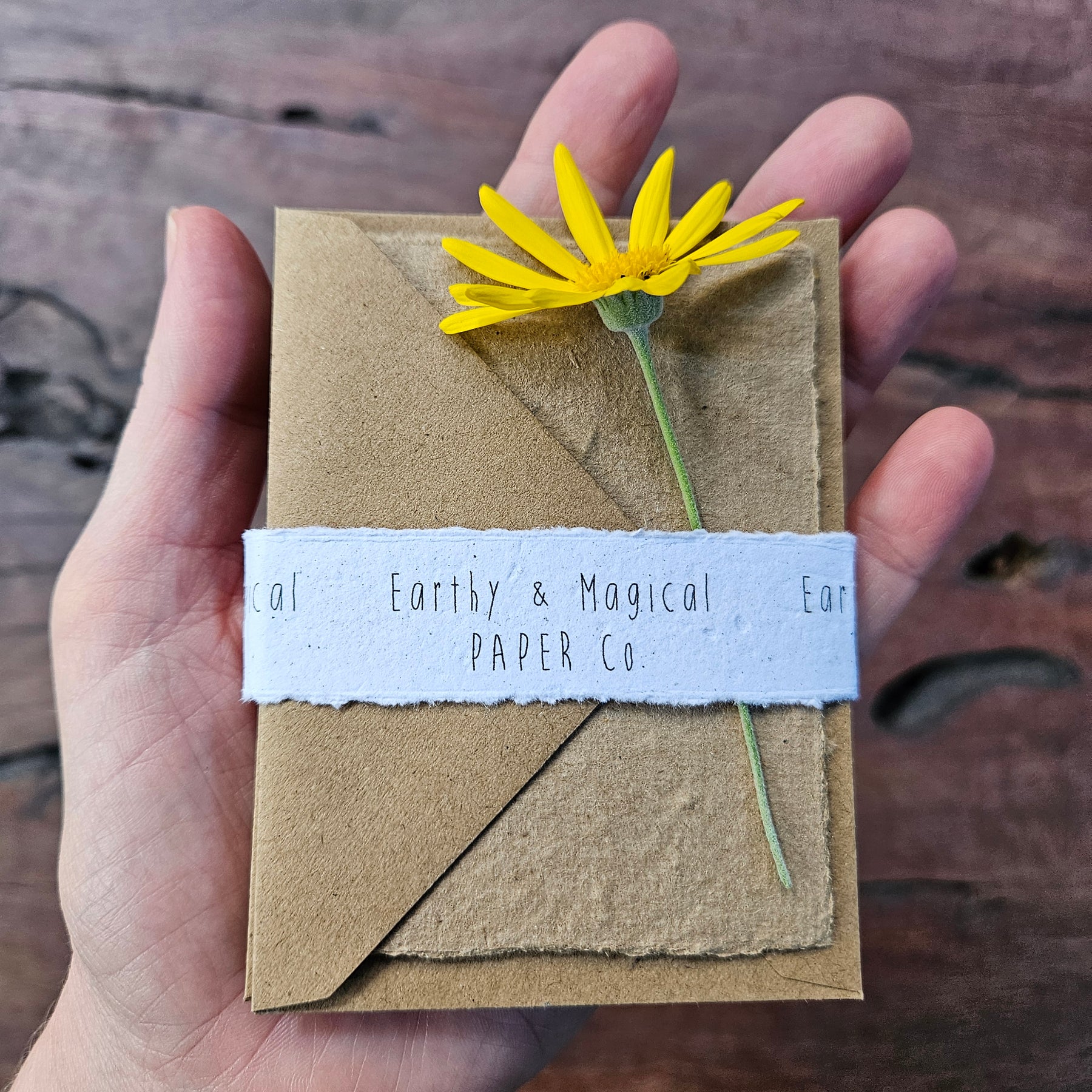 Seeded Plantable handmade paper gift cards- set of 4