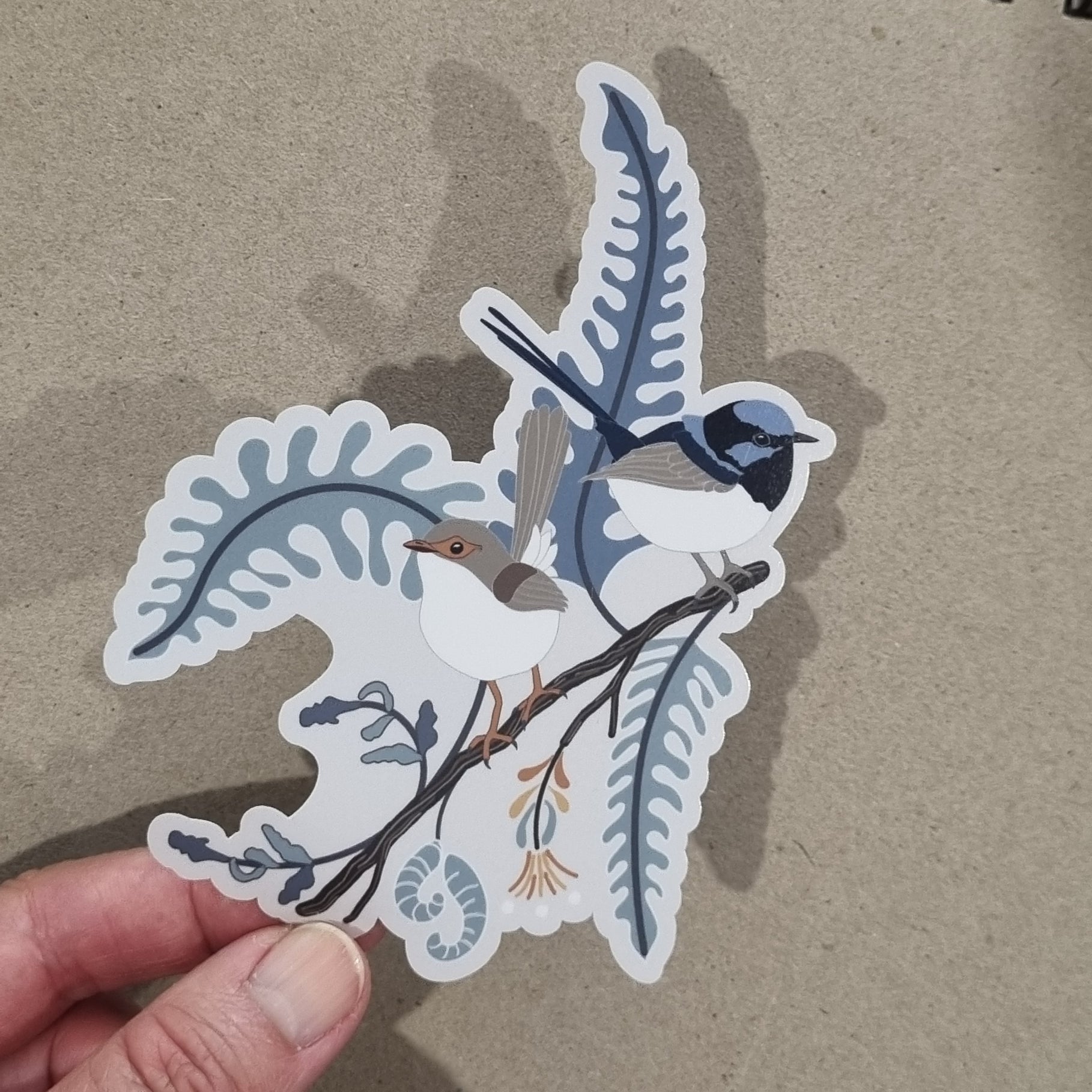 Superb Fairy Wrens on an Angled Branch Sticker