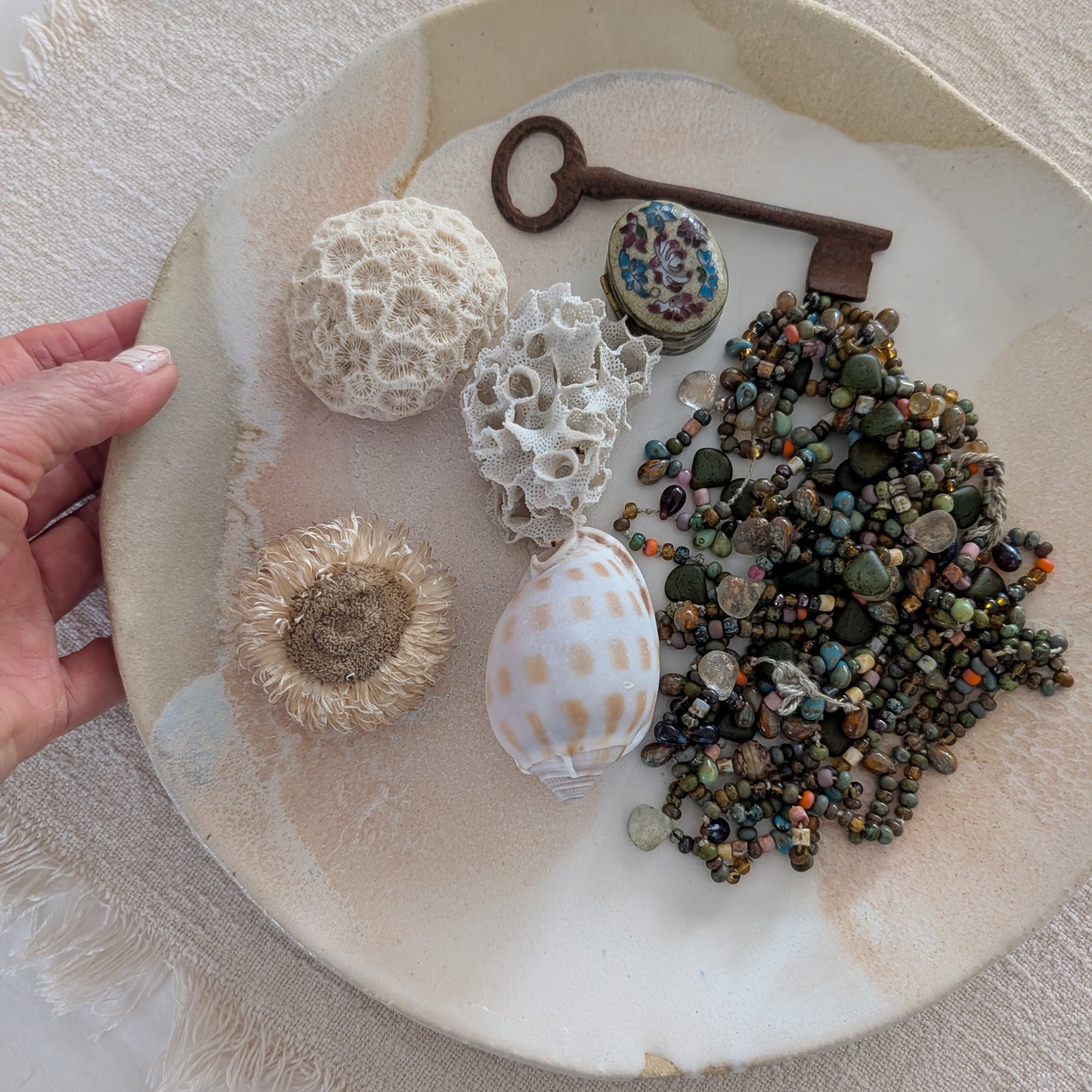 'All-Day Bowl' | coastal • functional • everyday