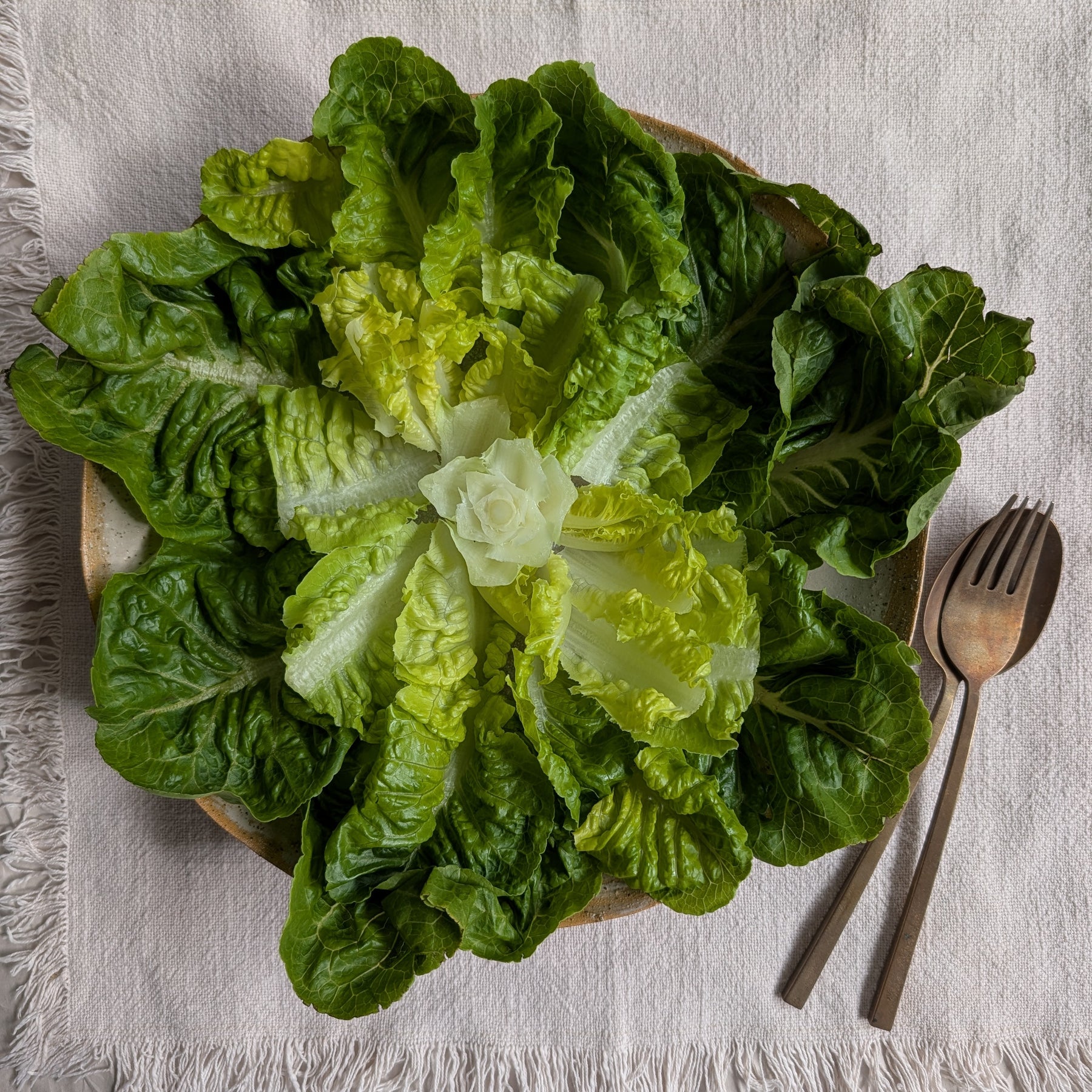 Ceramic Bowl | Form • Function • Coastal Inspired