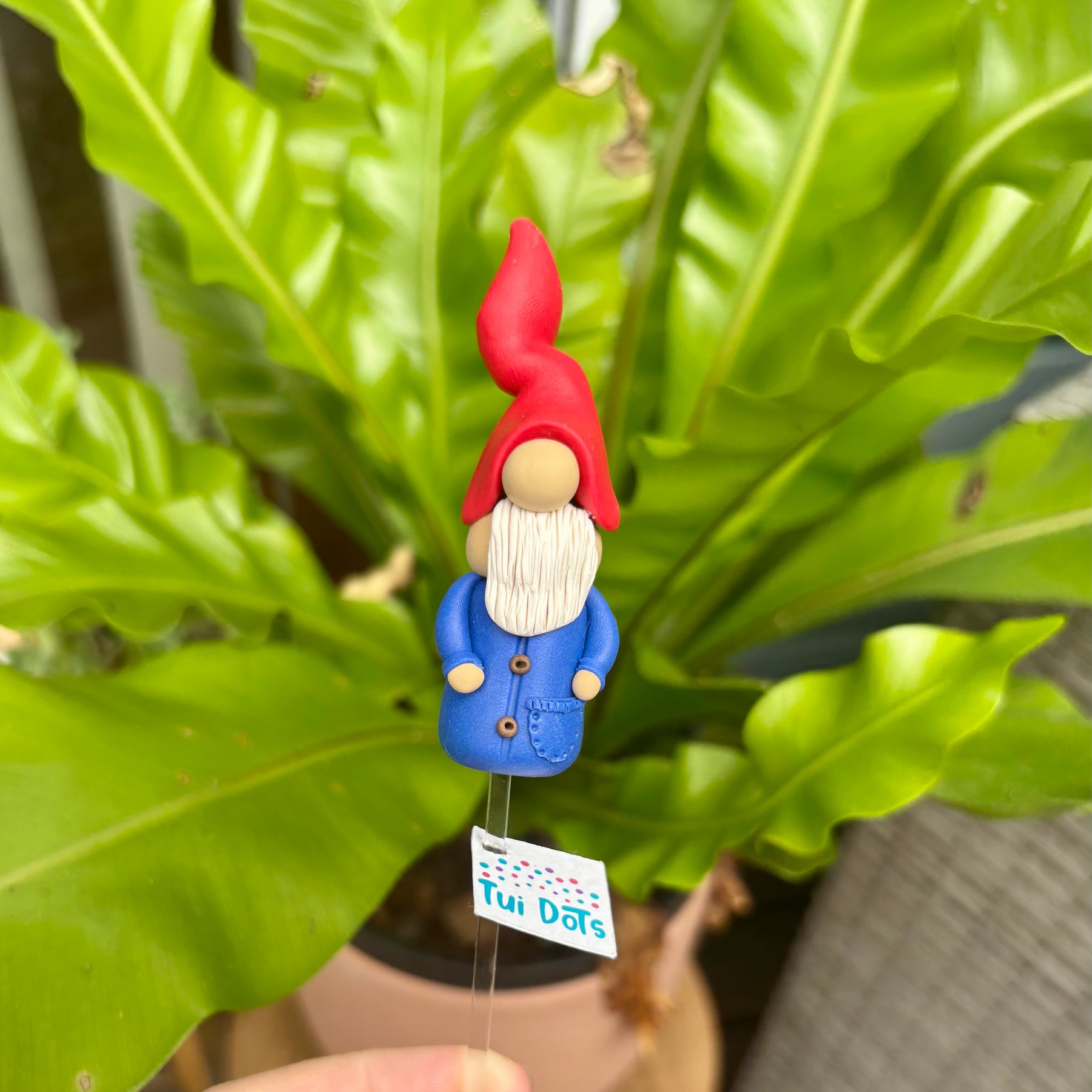 Tiny Gnome - The Classic Gnome