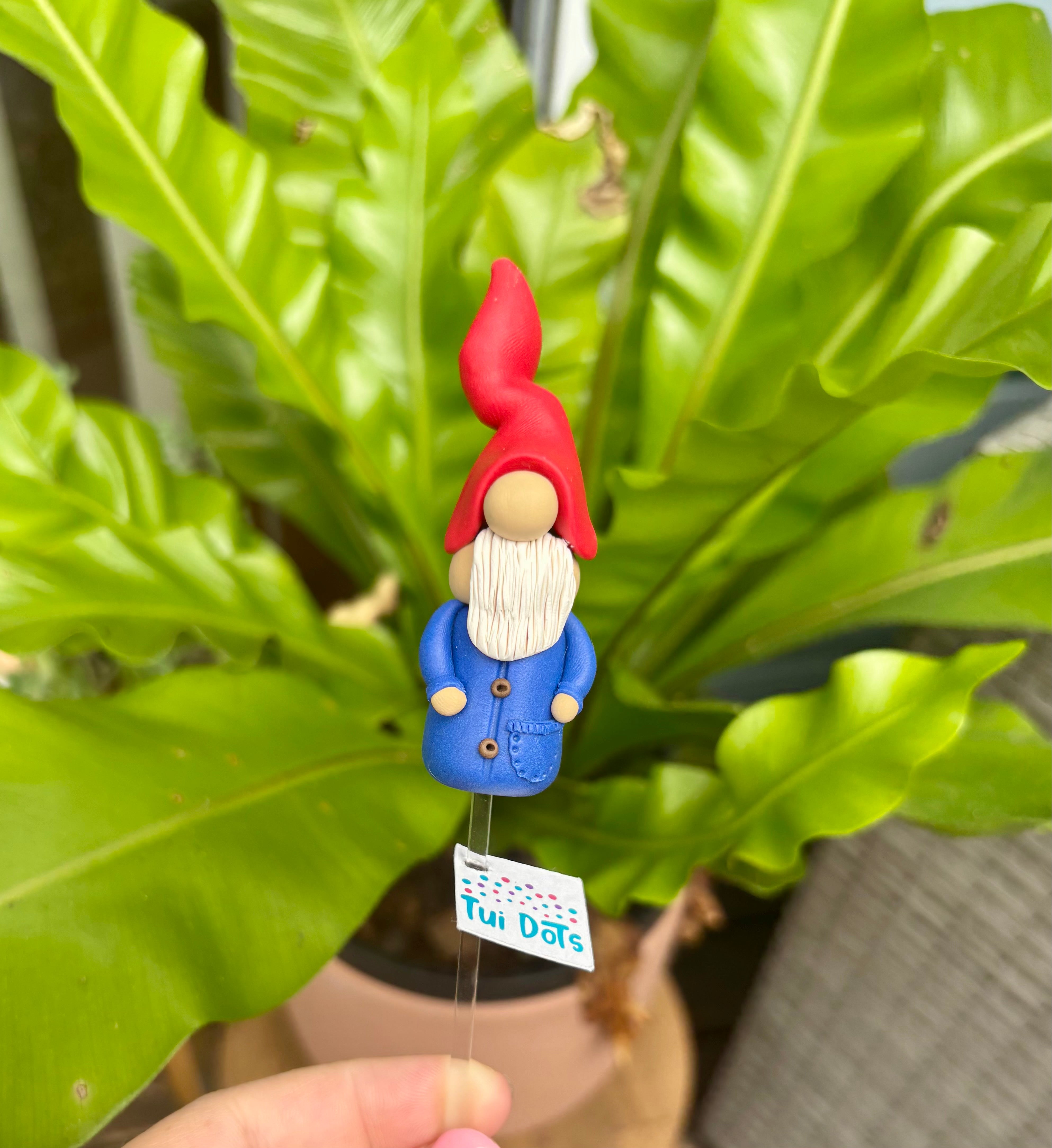 Tiny Gnome - The Classic Gnome