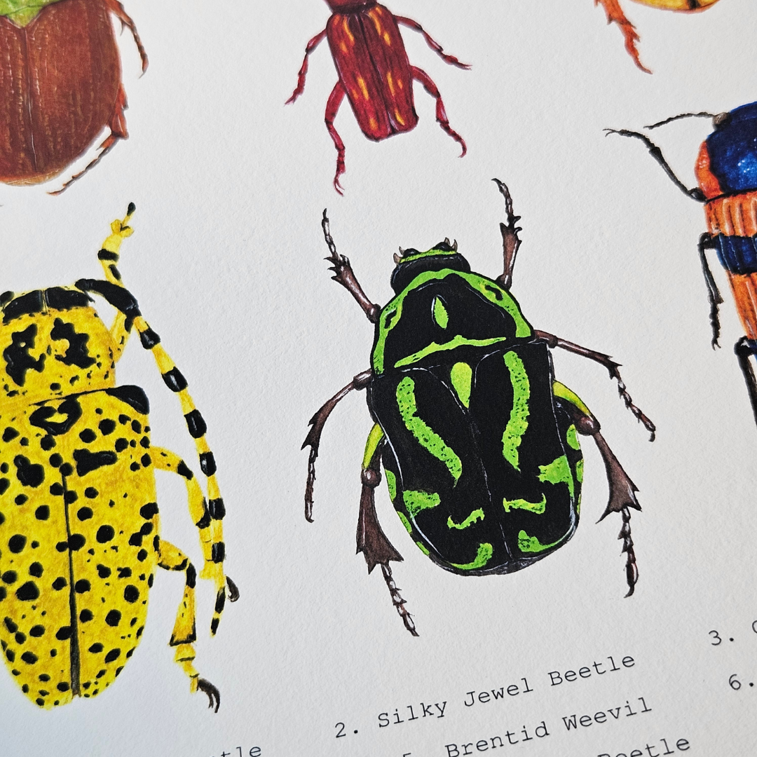 Watercolour Art Print - 'Australian Bug Collage'