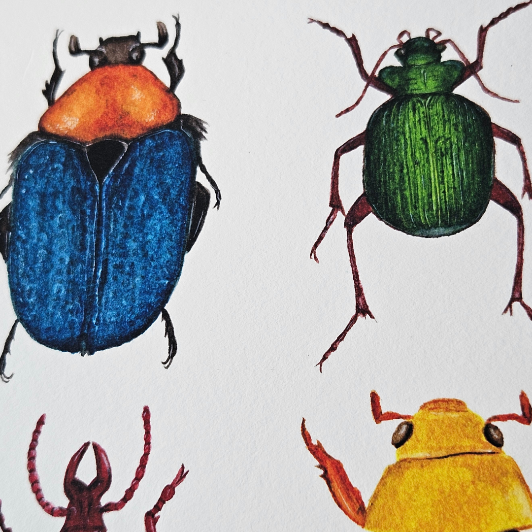 Watercolour Art Print - 'Australian Bug Collage'