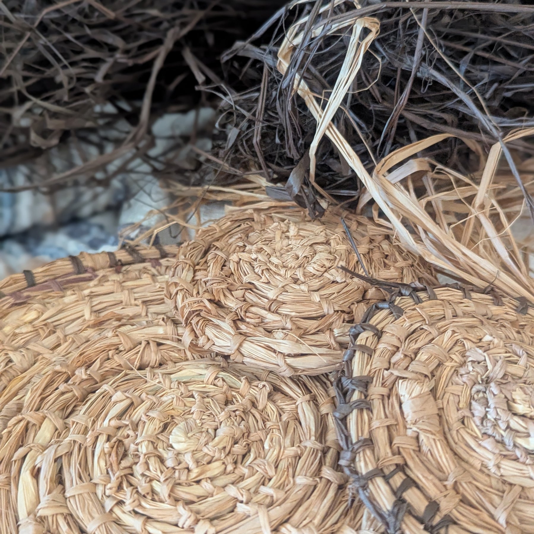 Fibre Art Weaved Wall Piece  | 3 Circles Interwoven  Hand dyed Eucalyptus |Wall Hanging