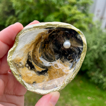 Earthy Shell Trinket Tray with Pearls