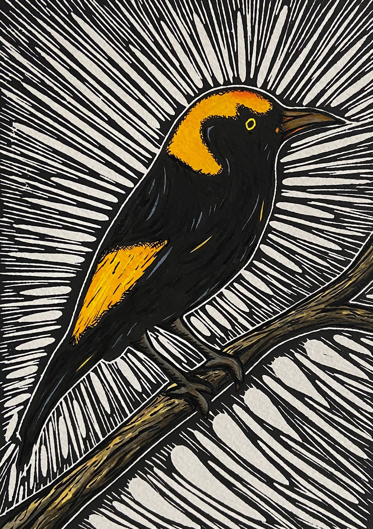 Bundle 8 Greeting Cards with Envelopes