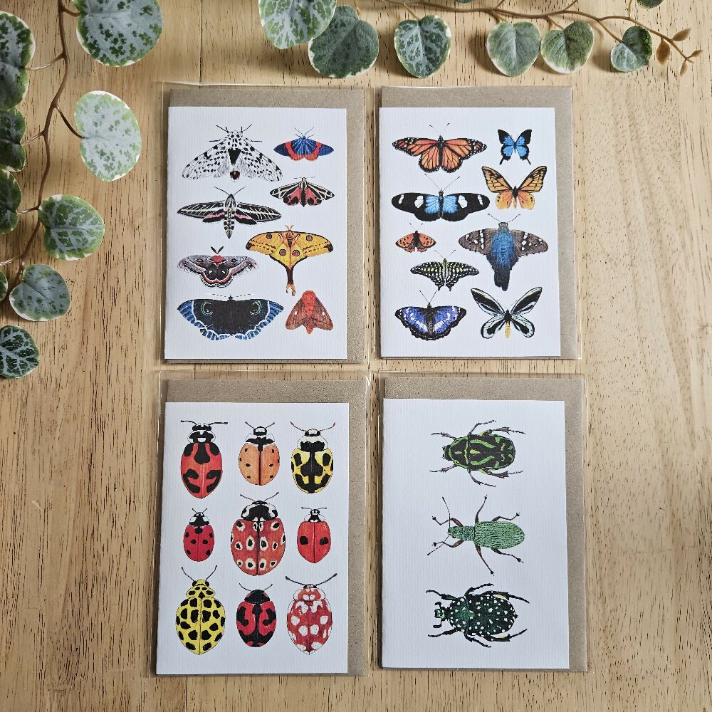 Watercolour Greeting Cards - Insect Collages - Set of 4