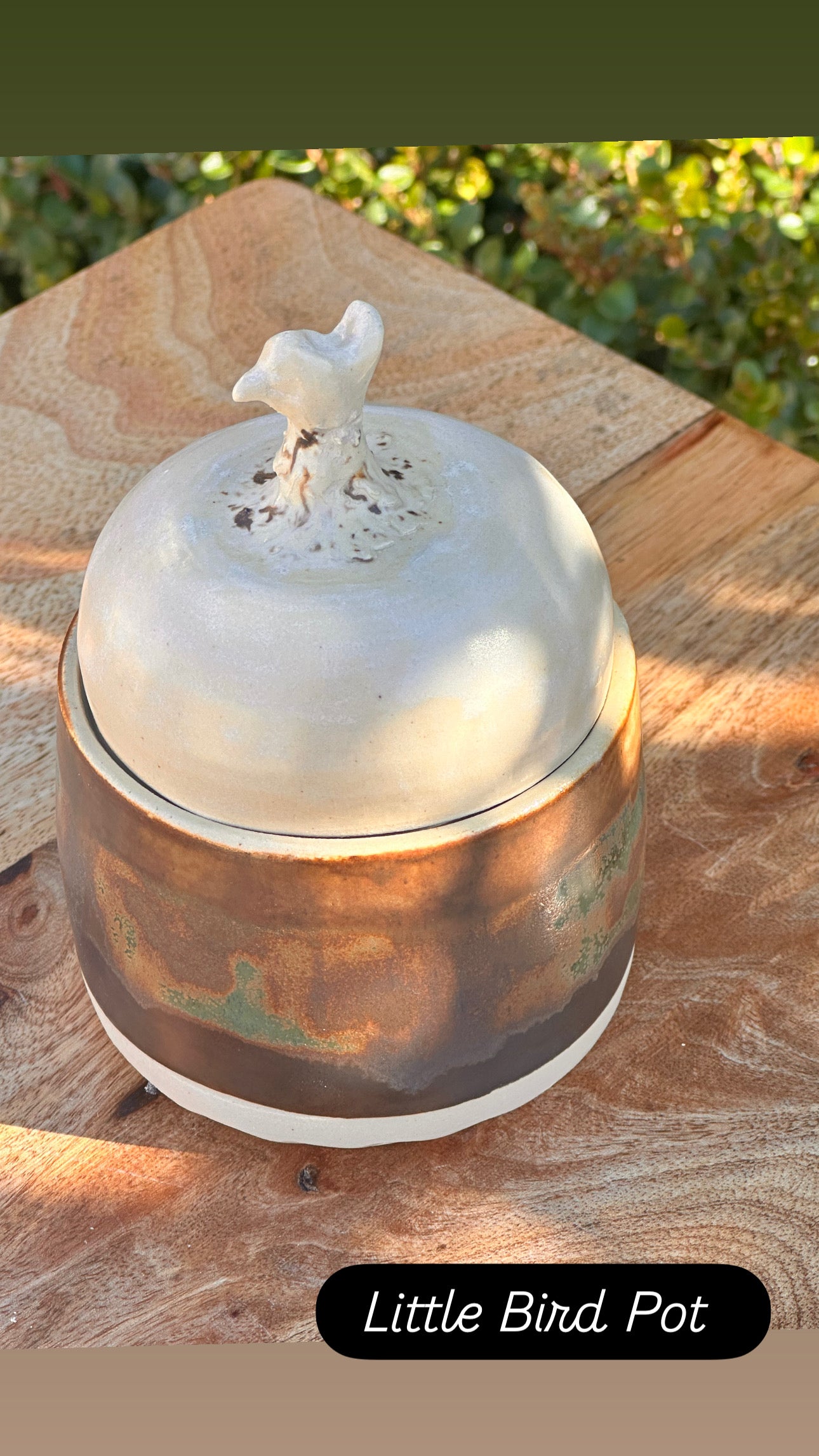 Ceramic Bird Keeper Lidded Pot
