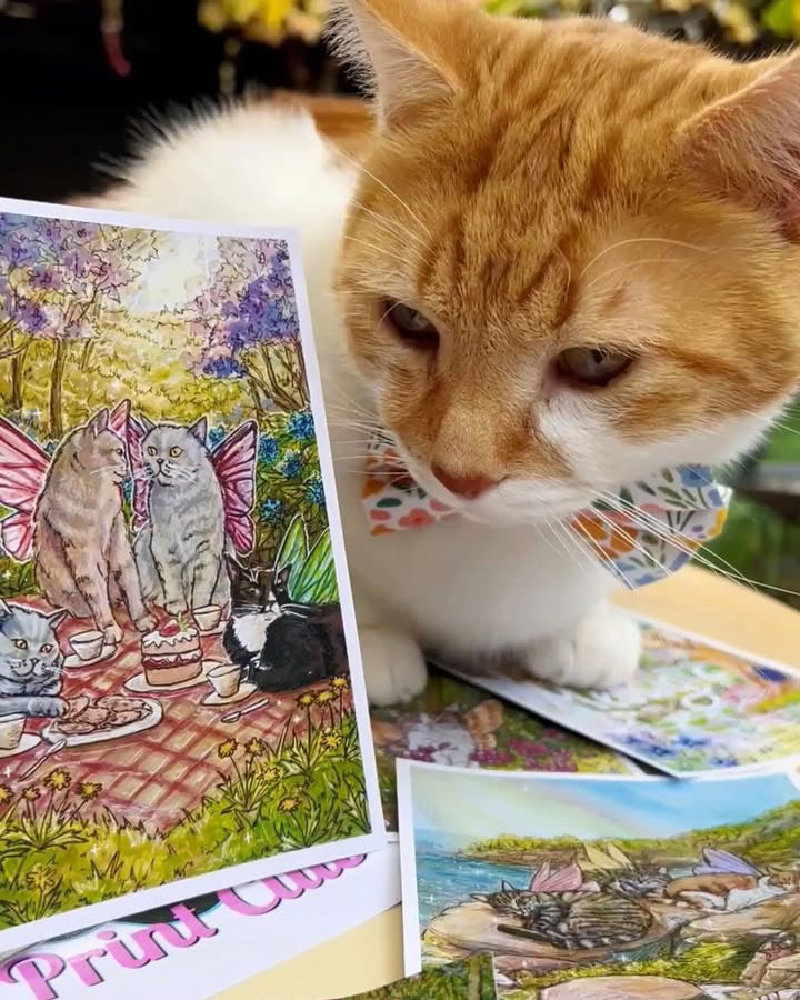 Art Print Club - Snail Mail