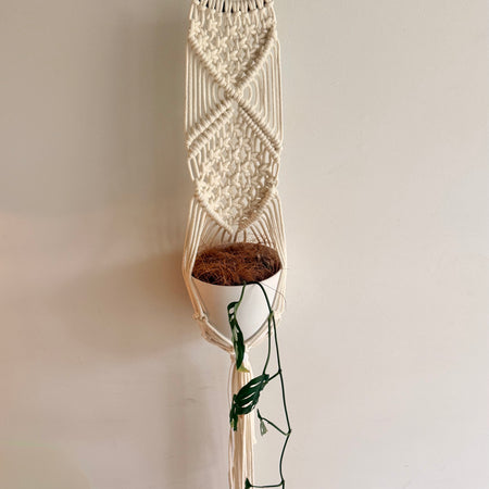 Handmade White MacramƩ Plant Hanger | Bamboo Ring