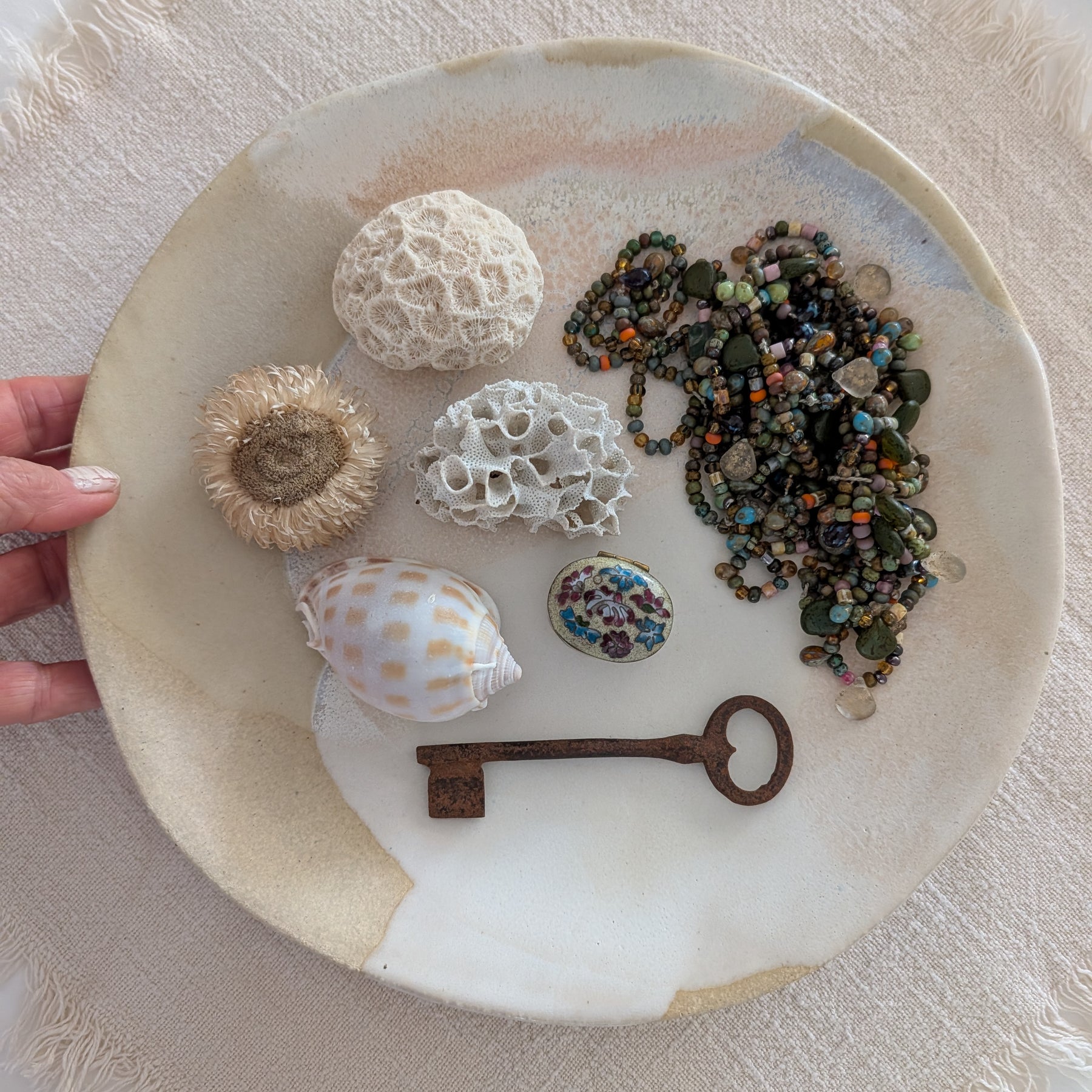 'All-Day Bowl' | coastal • functional • everyday