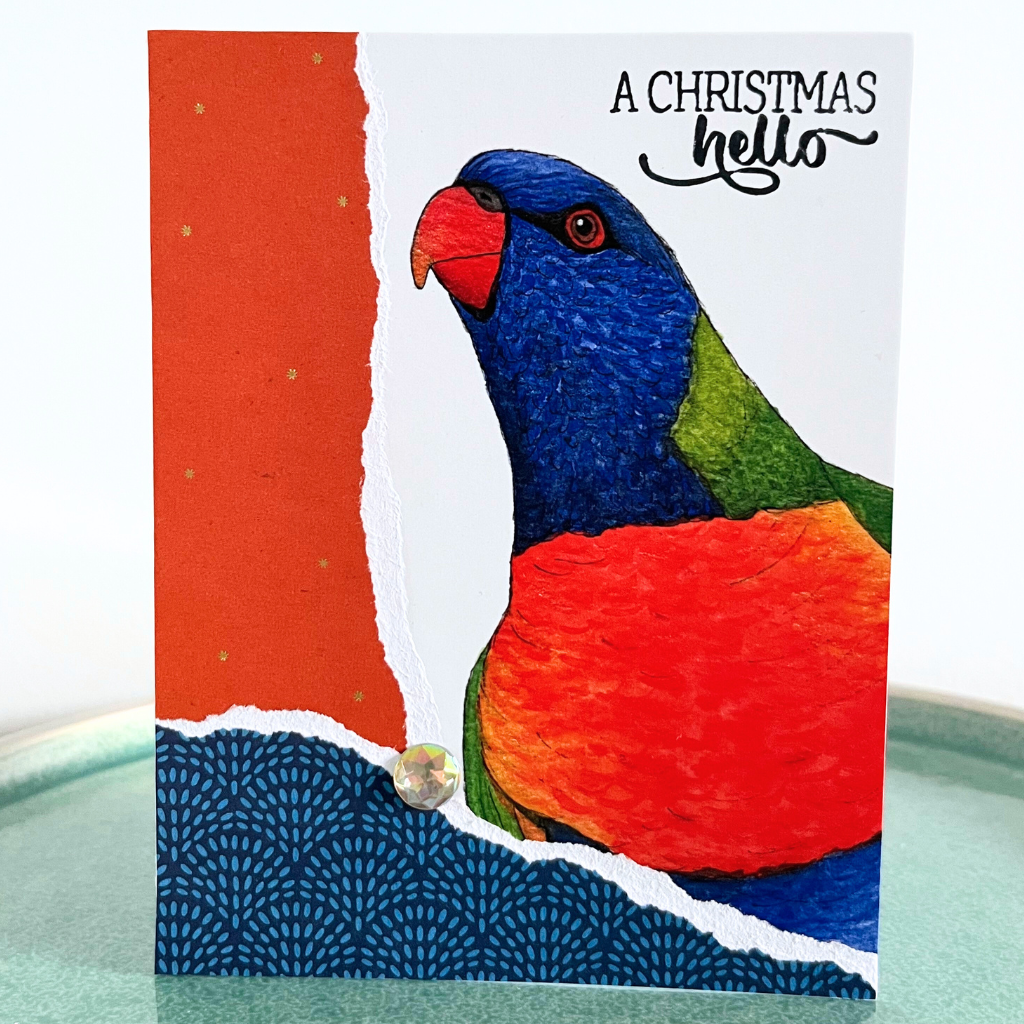 Christmas card - parrots etc (choice of options)