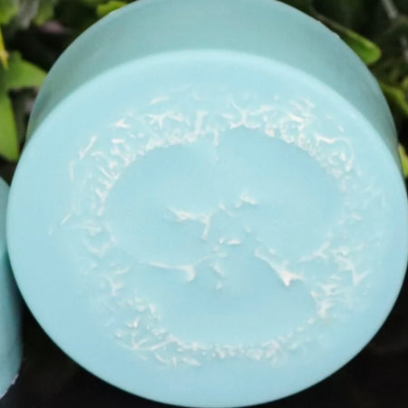 Handmade - Coconut Island & Lavender Loofah Soap Bars