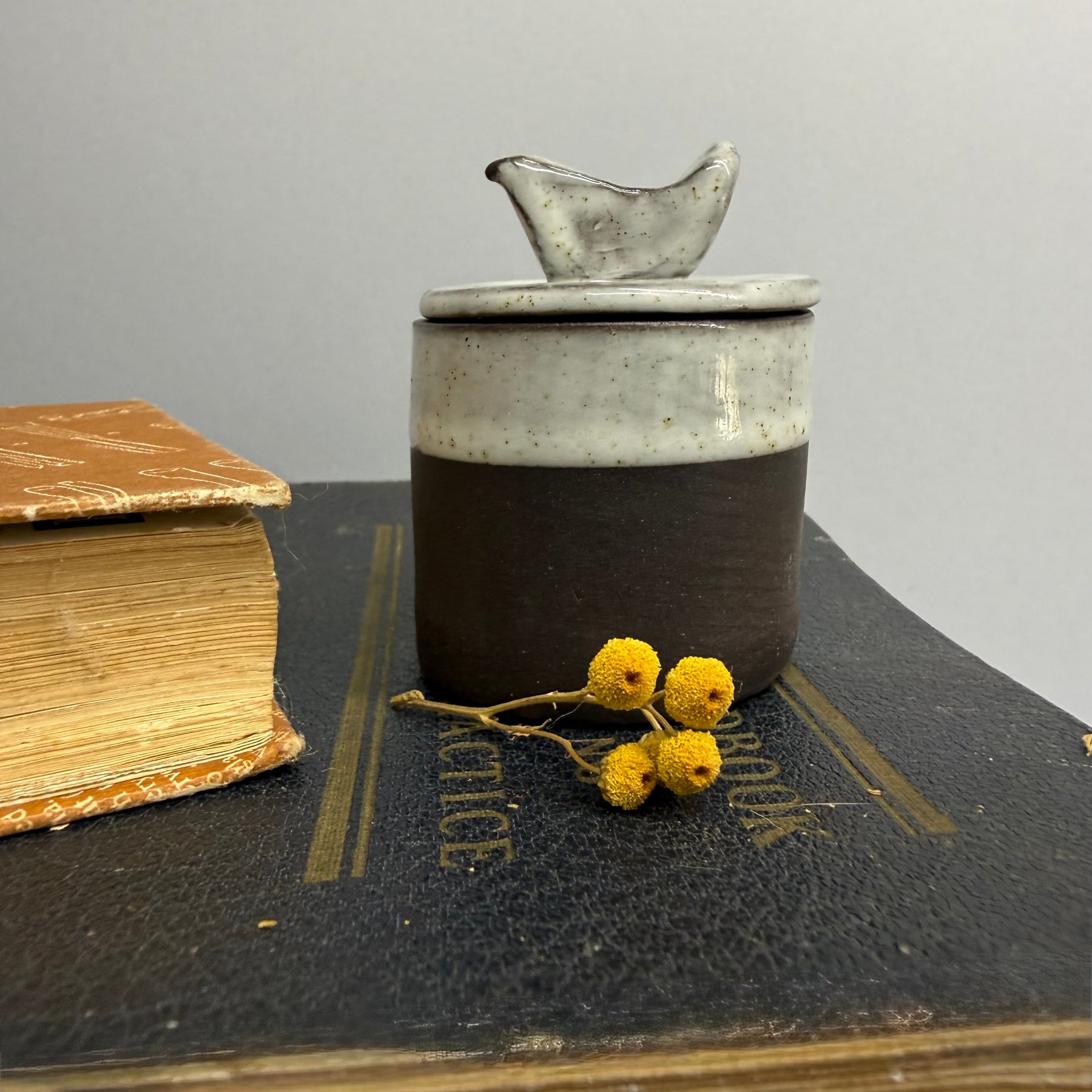 Little Bird Keeper Box
