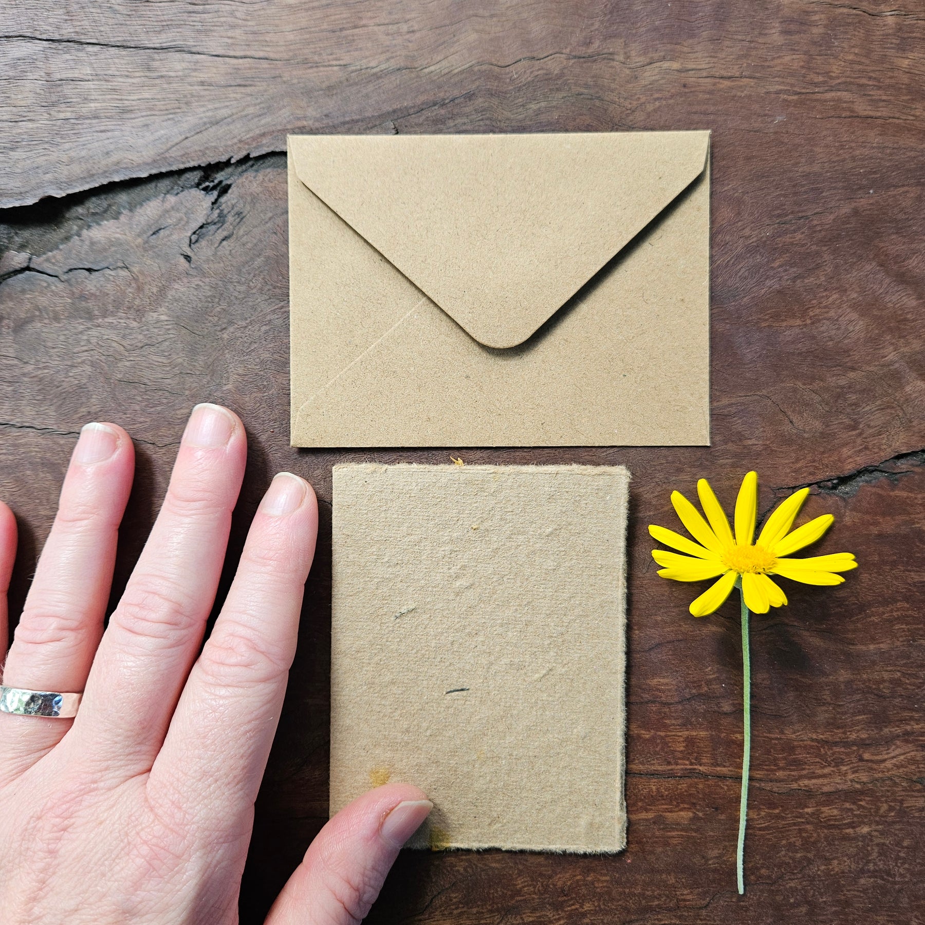 Seeded Plantable handmade paper gift cards- set of 4