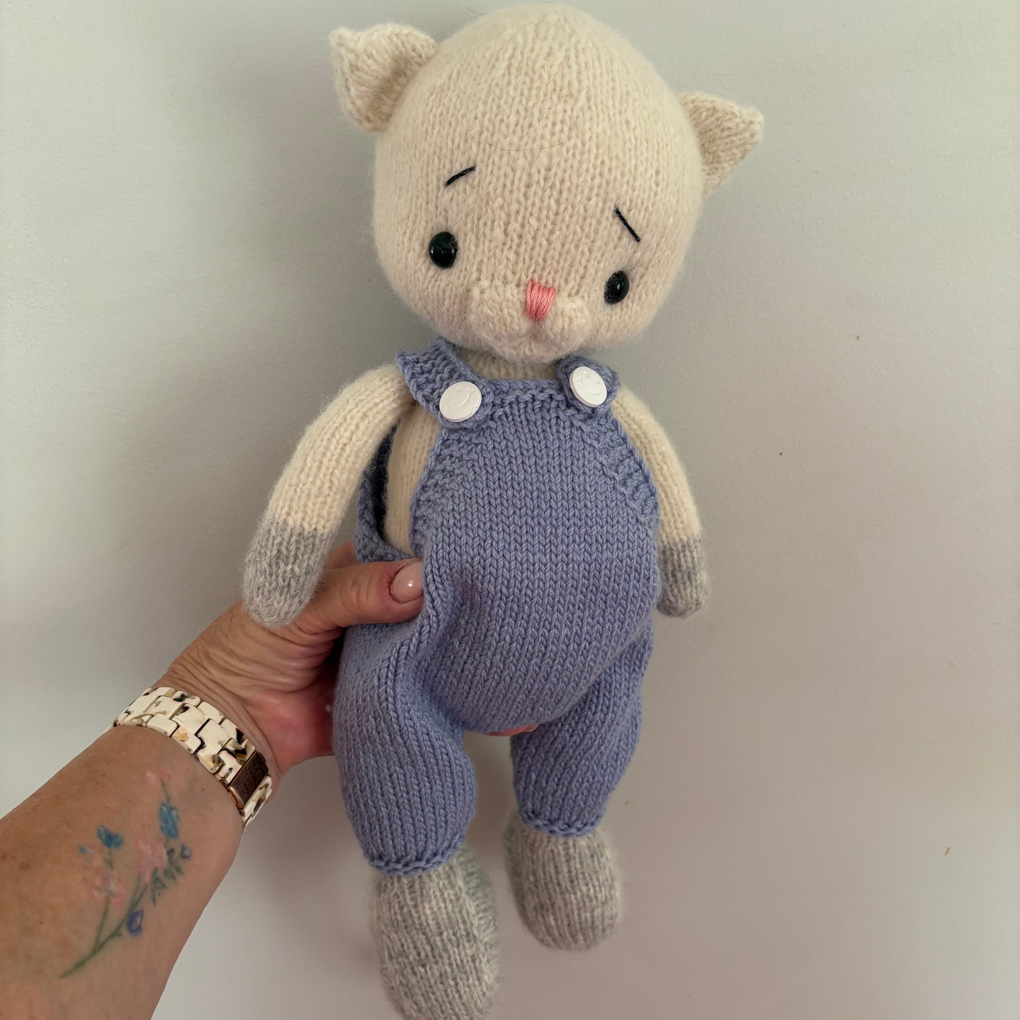 Fluffy cat in blue overalls