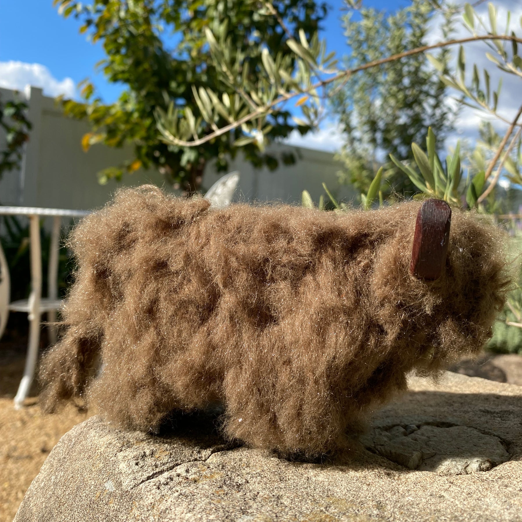 Wooly Brown Cow