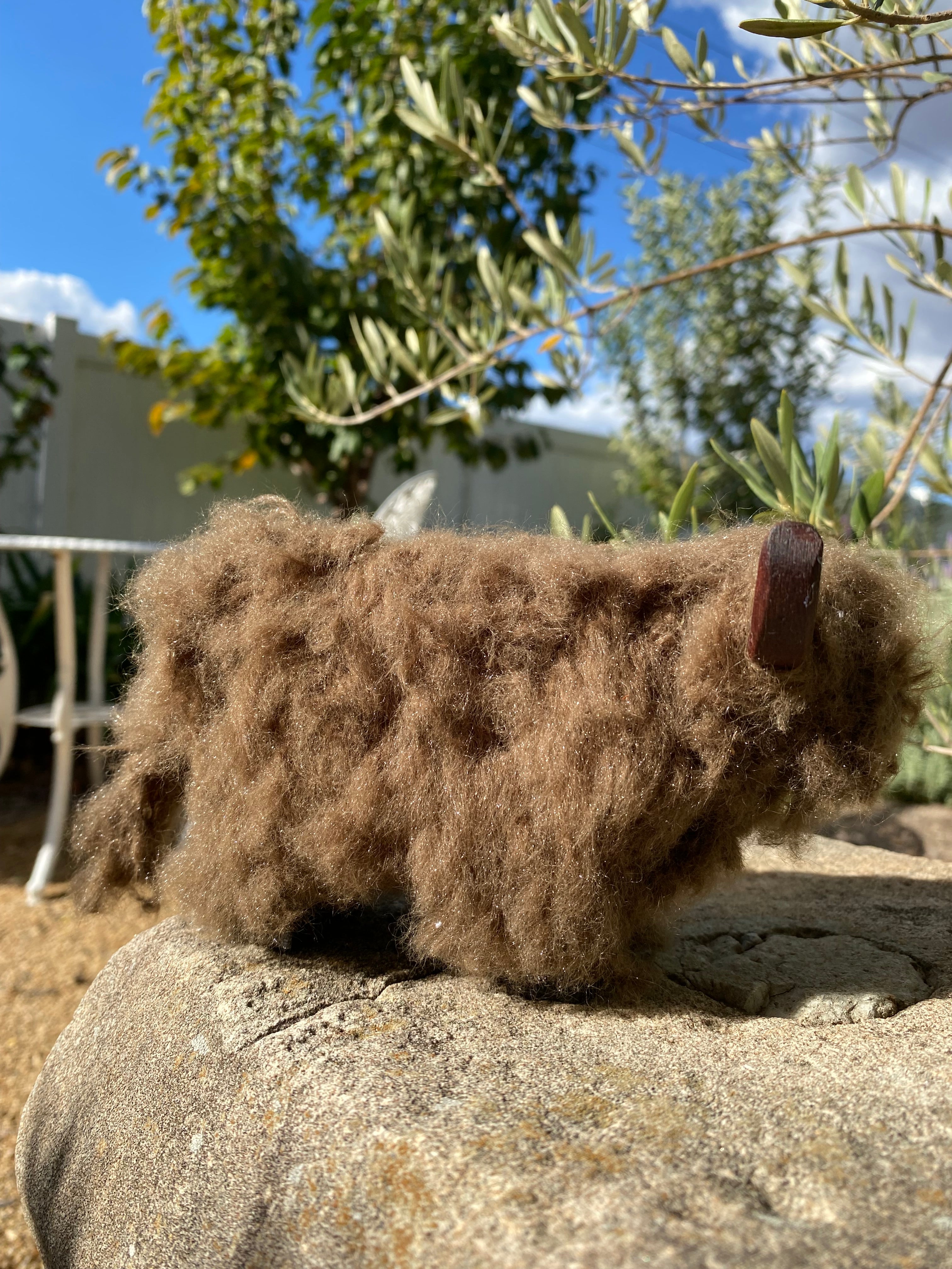 Wooly Brown Cow